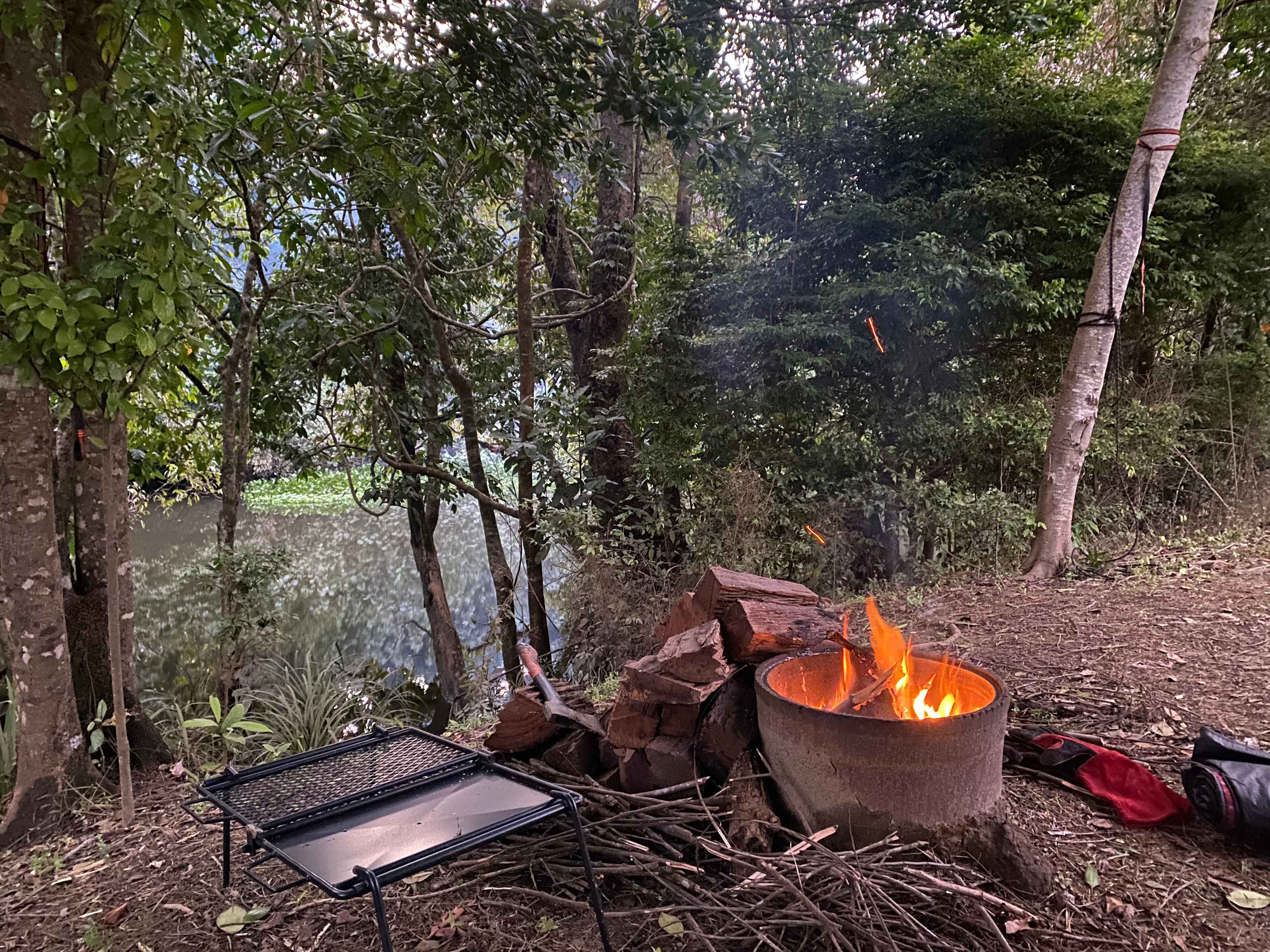 Aloomba Homestead (Tropical Qld)
