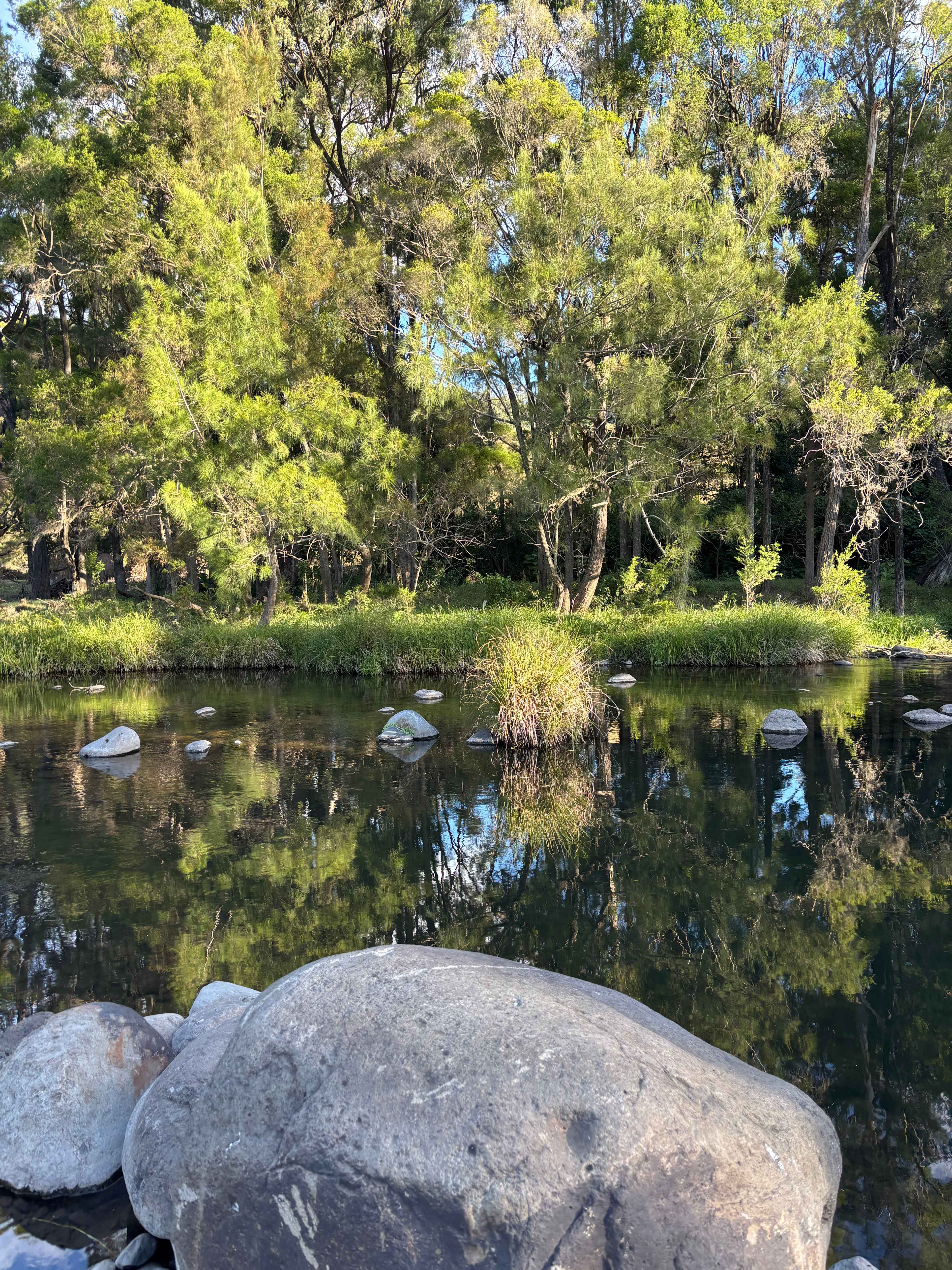 Sarabah Creek Camping