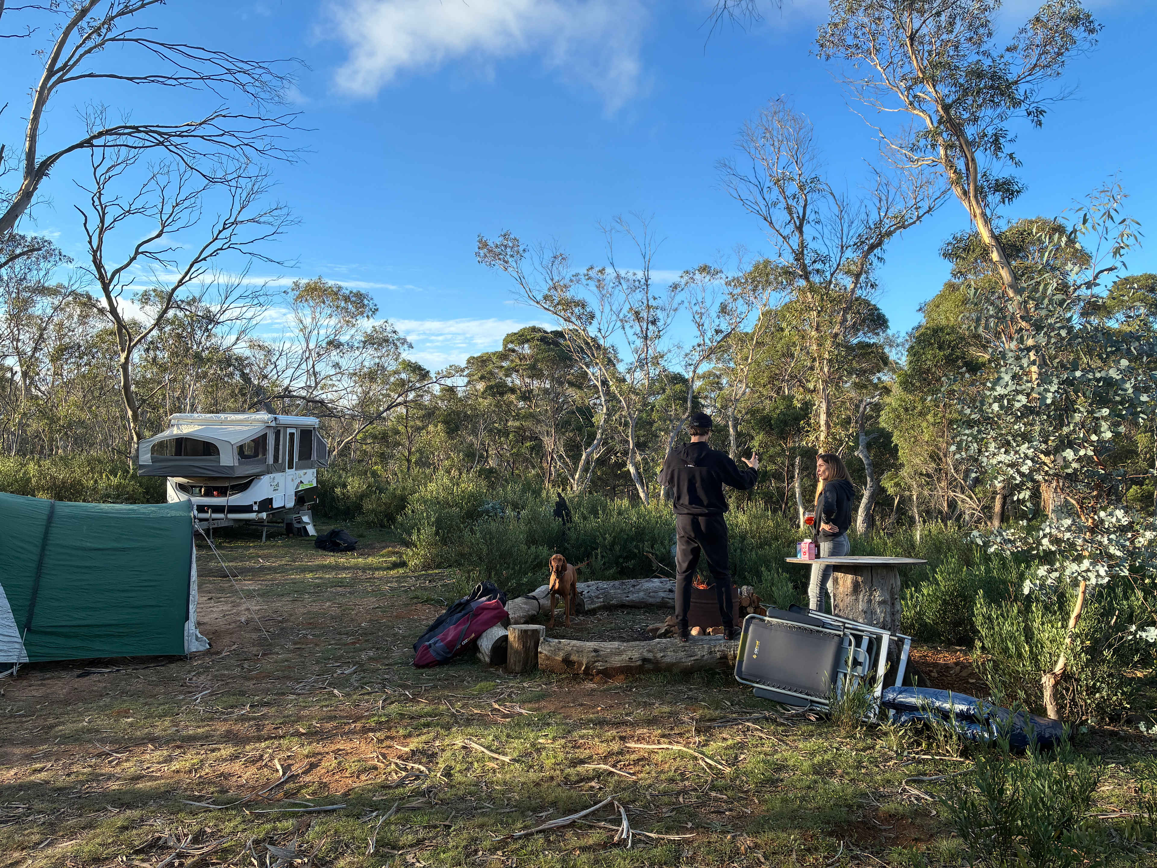 Scribbly Gum secluded bush camping