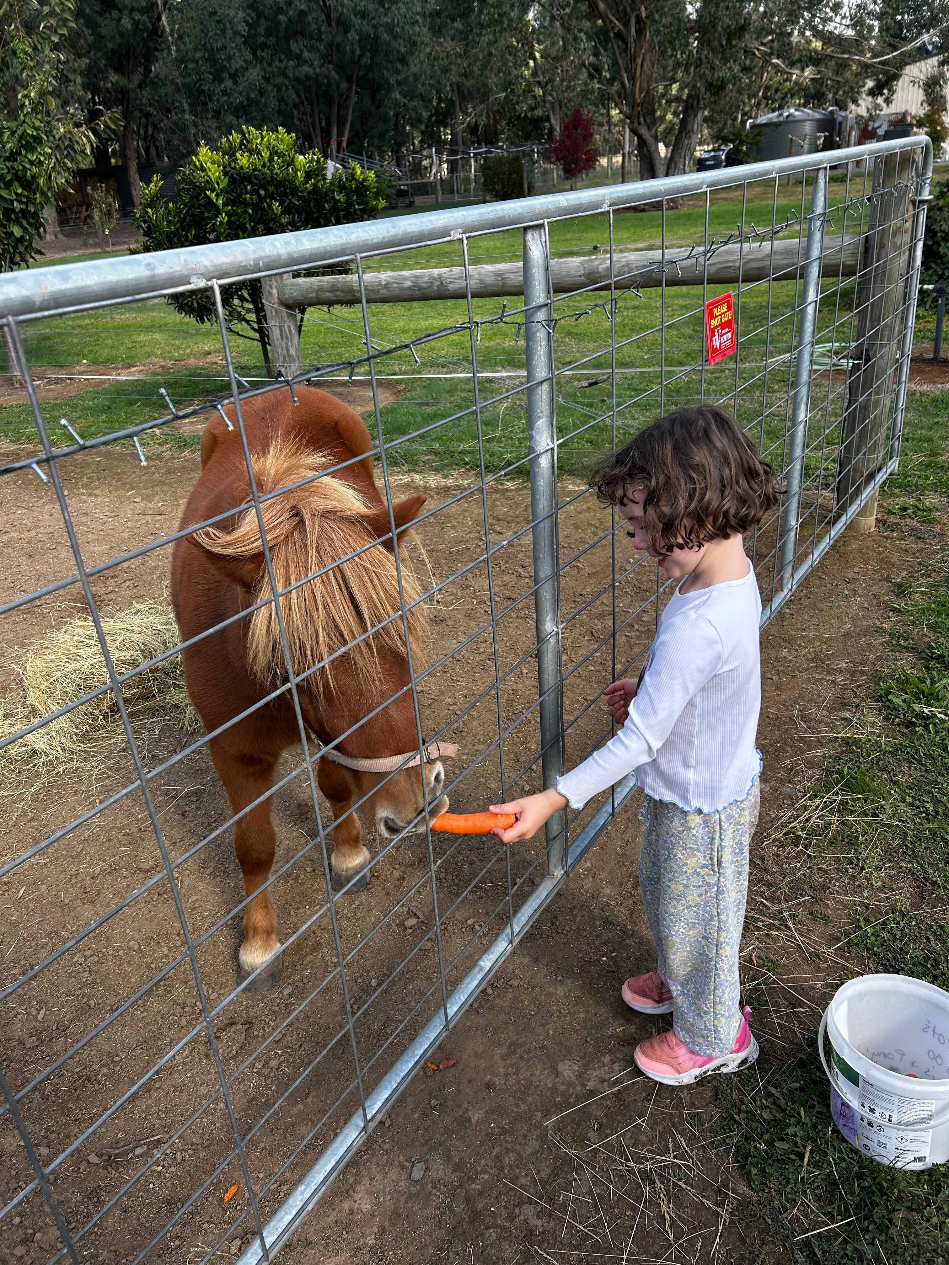 Galea Ranch