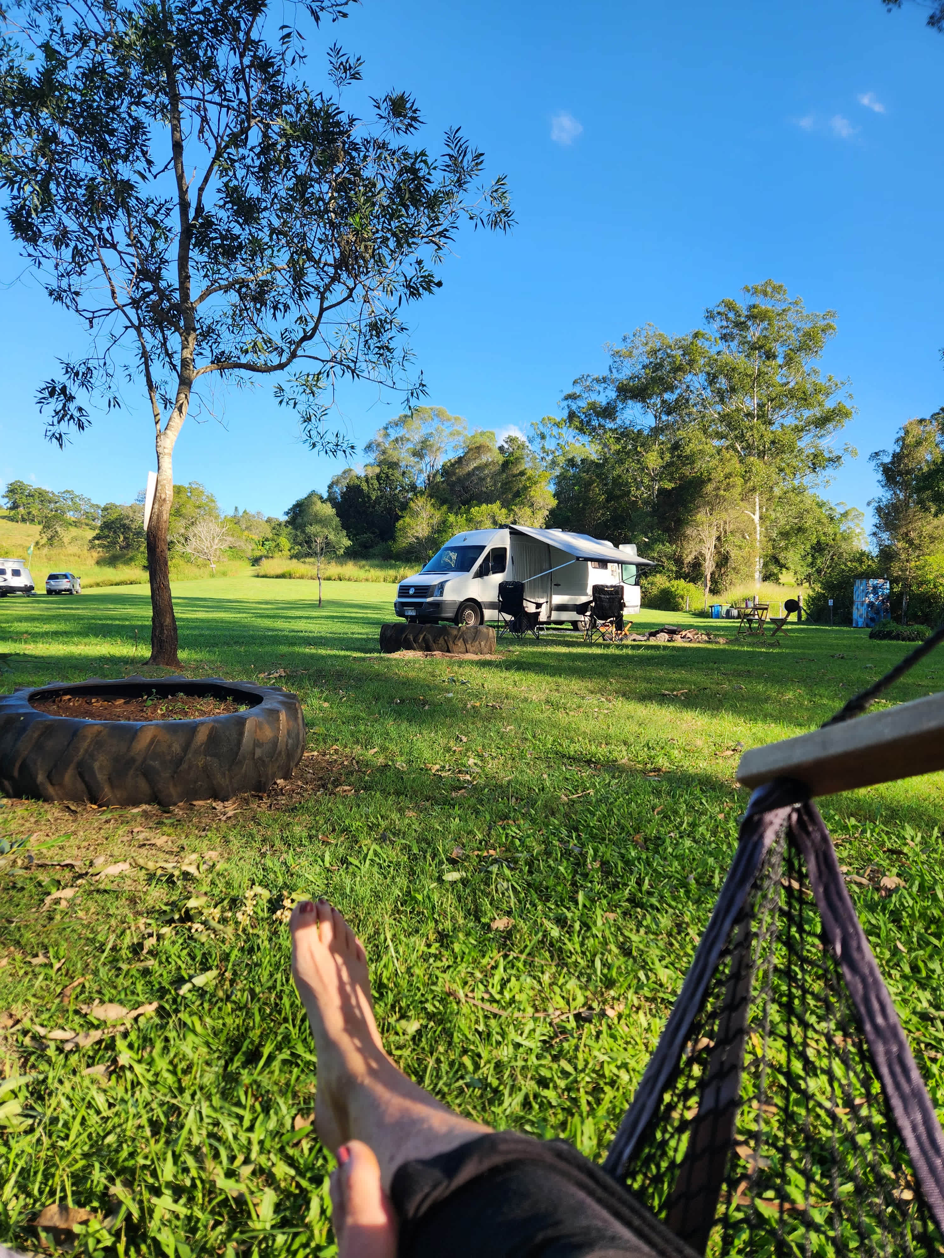 Bunya Grove
