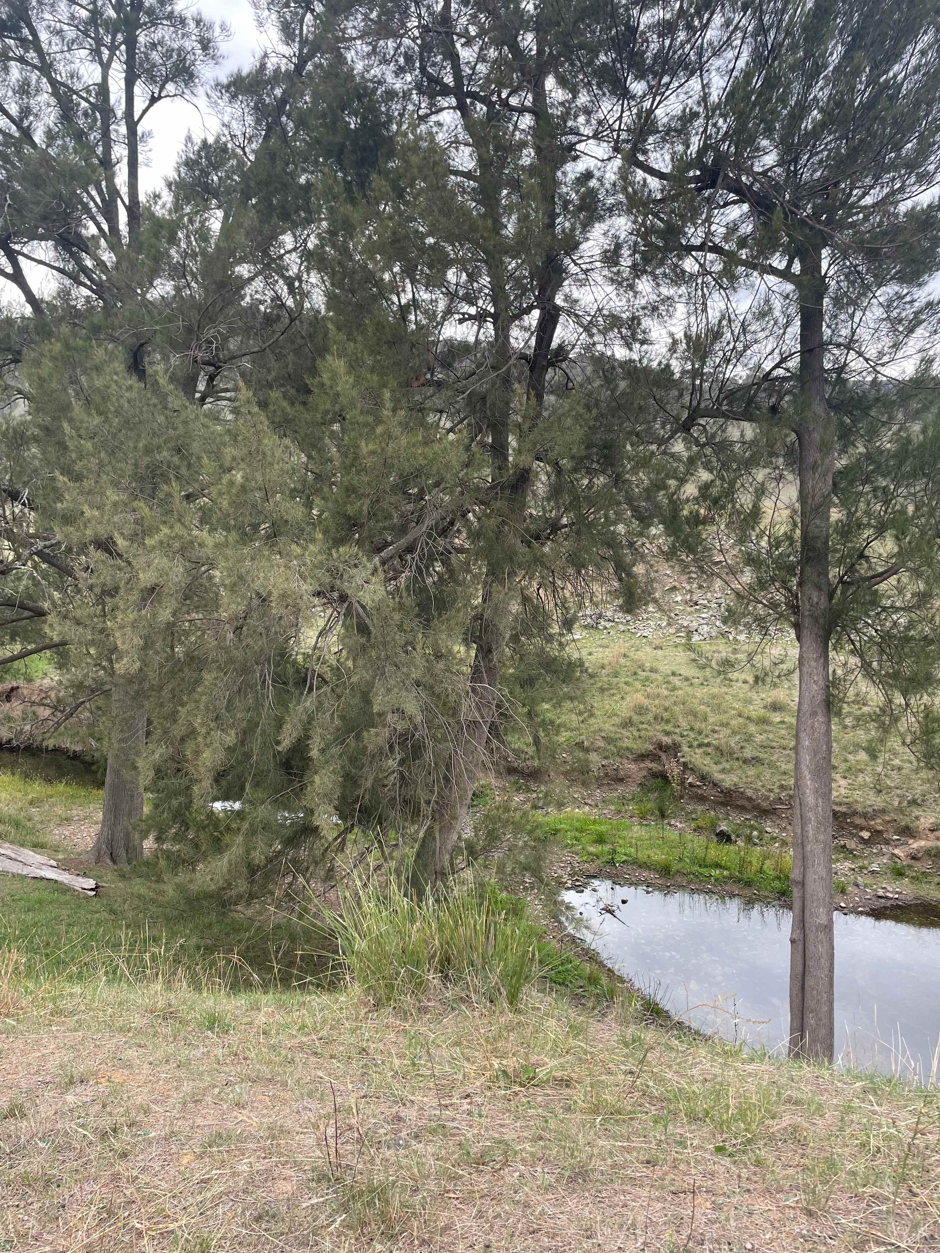 Peronne Adventure Camping
