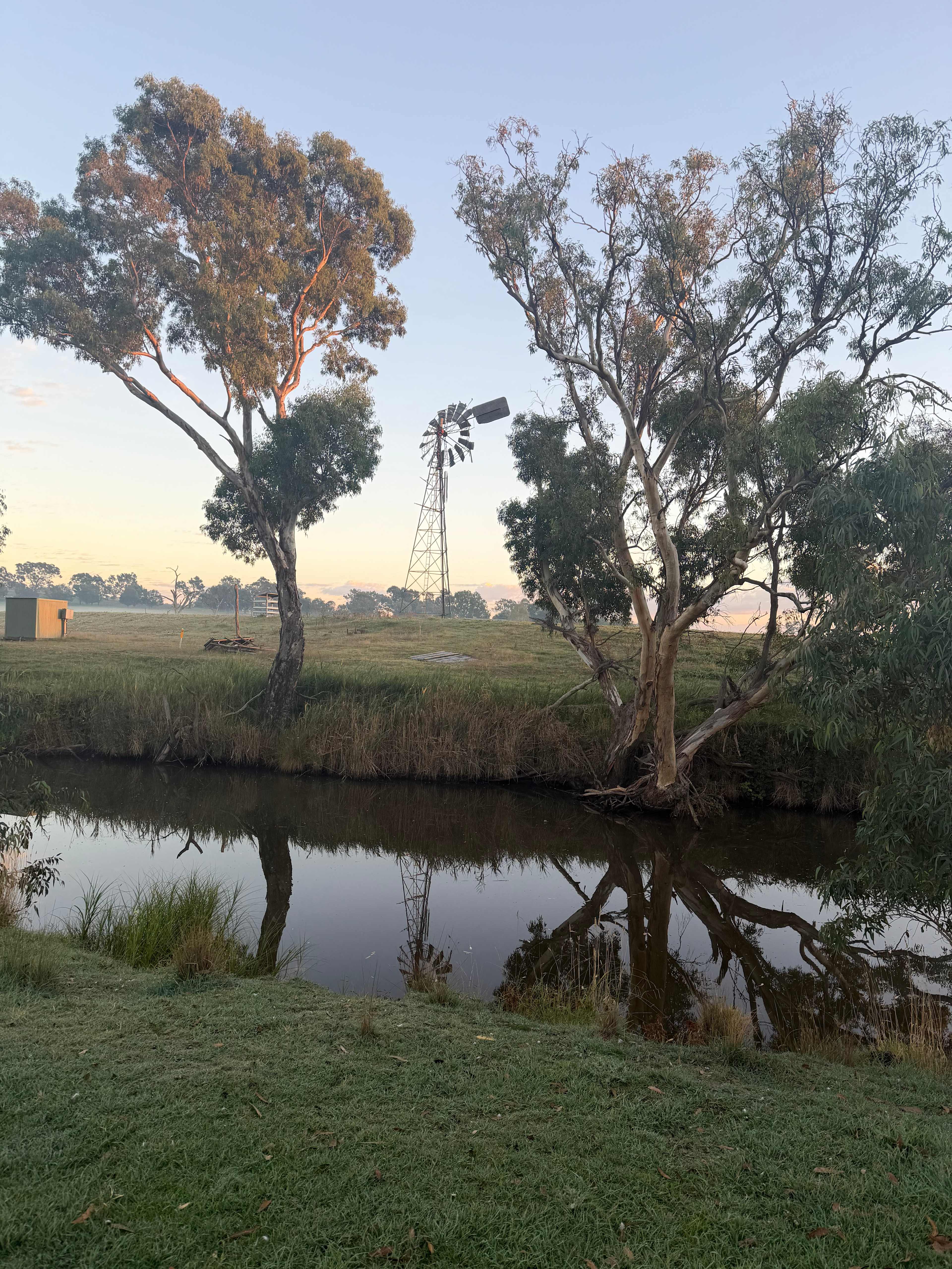 Boorowa Hipcamp - Wombles Common