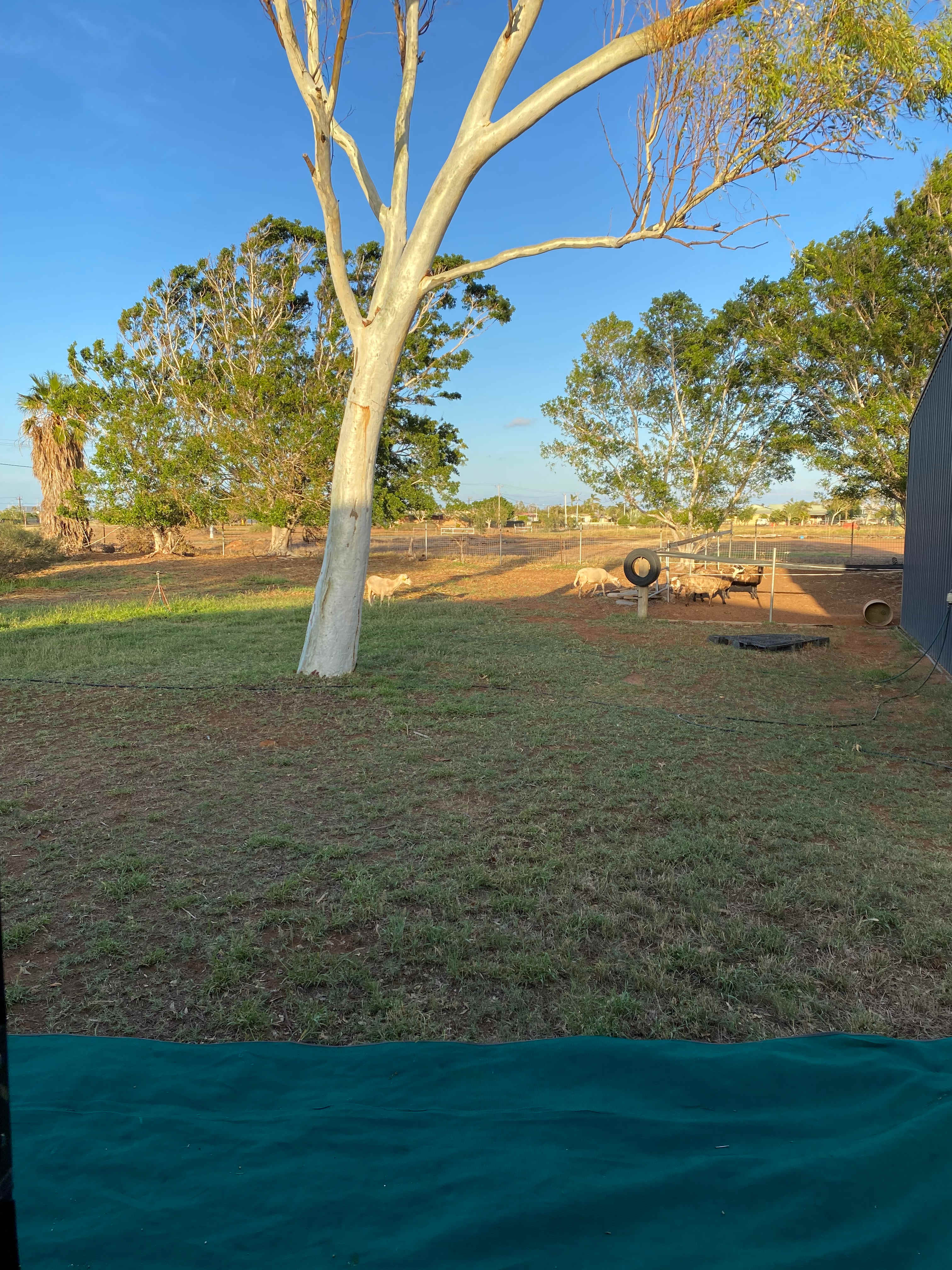 Sandhurst Tavern Campsite