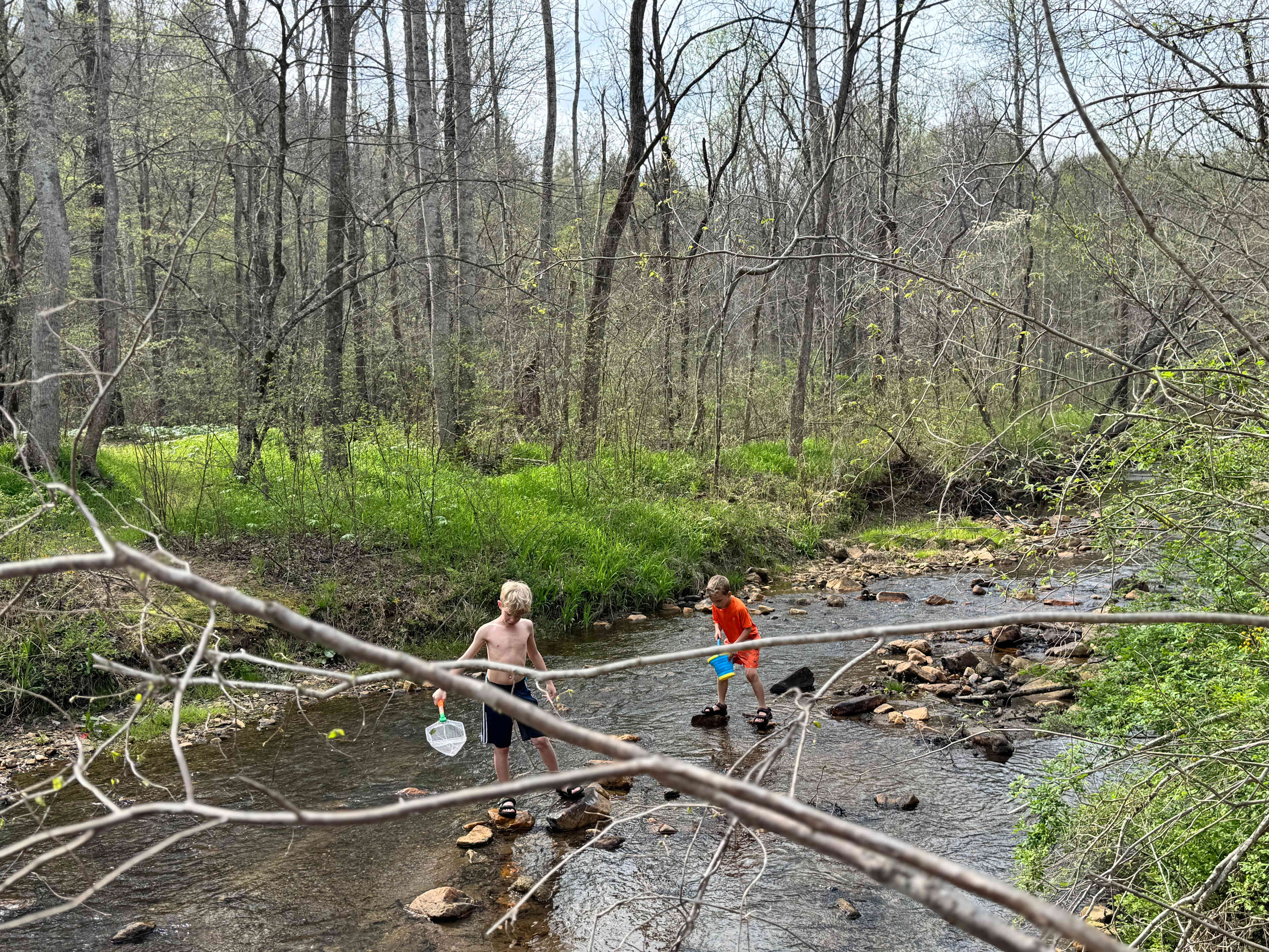 Awesome creek!