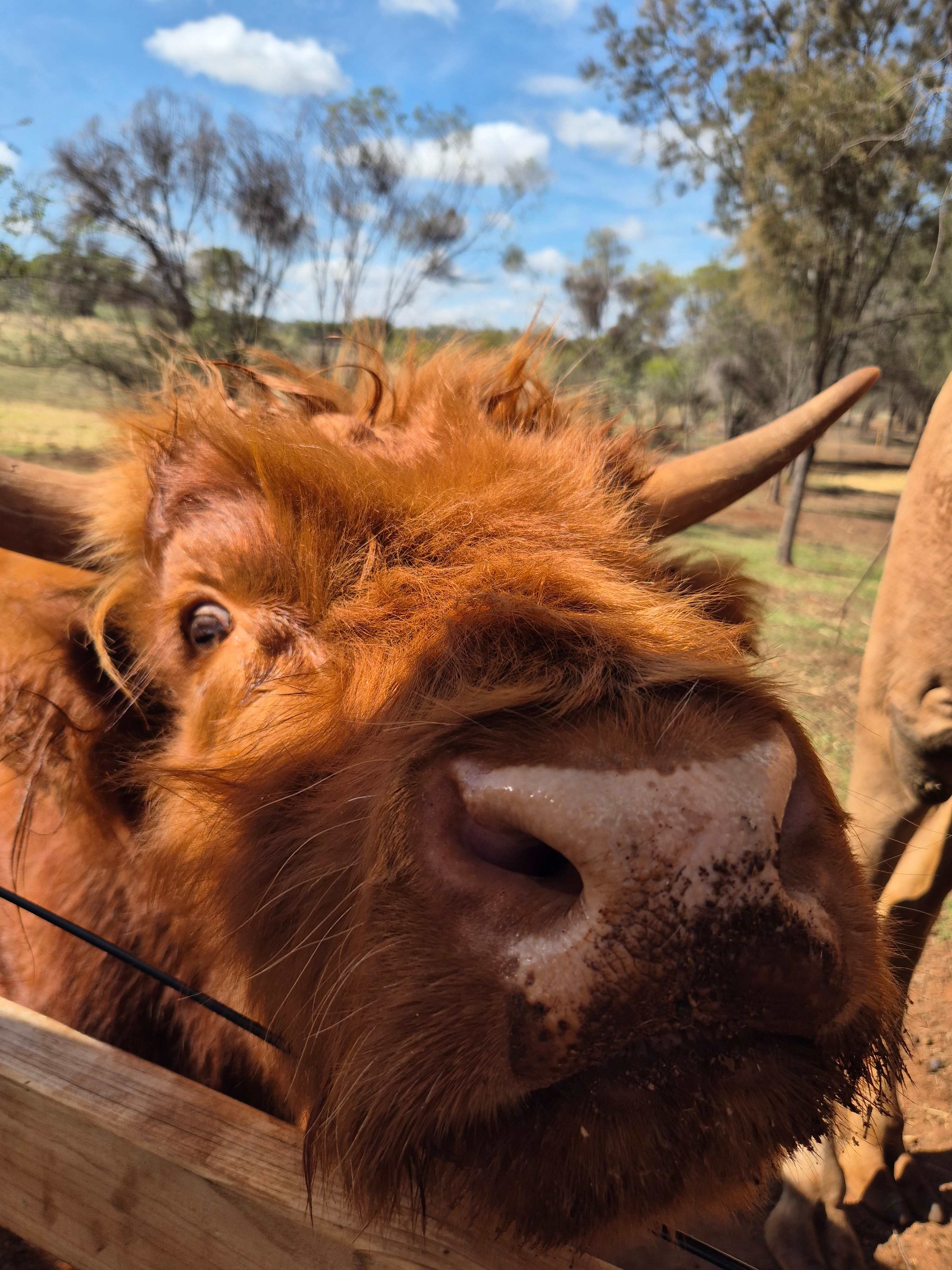 Sandalwood Downs  Farm Stay Toodyay