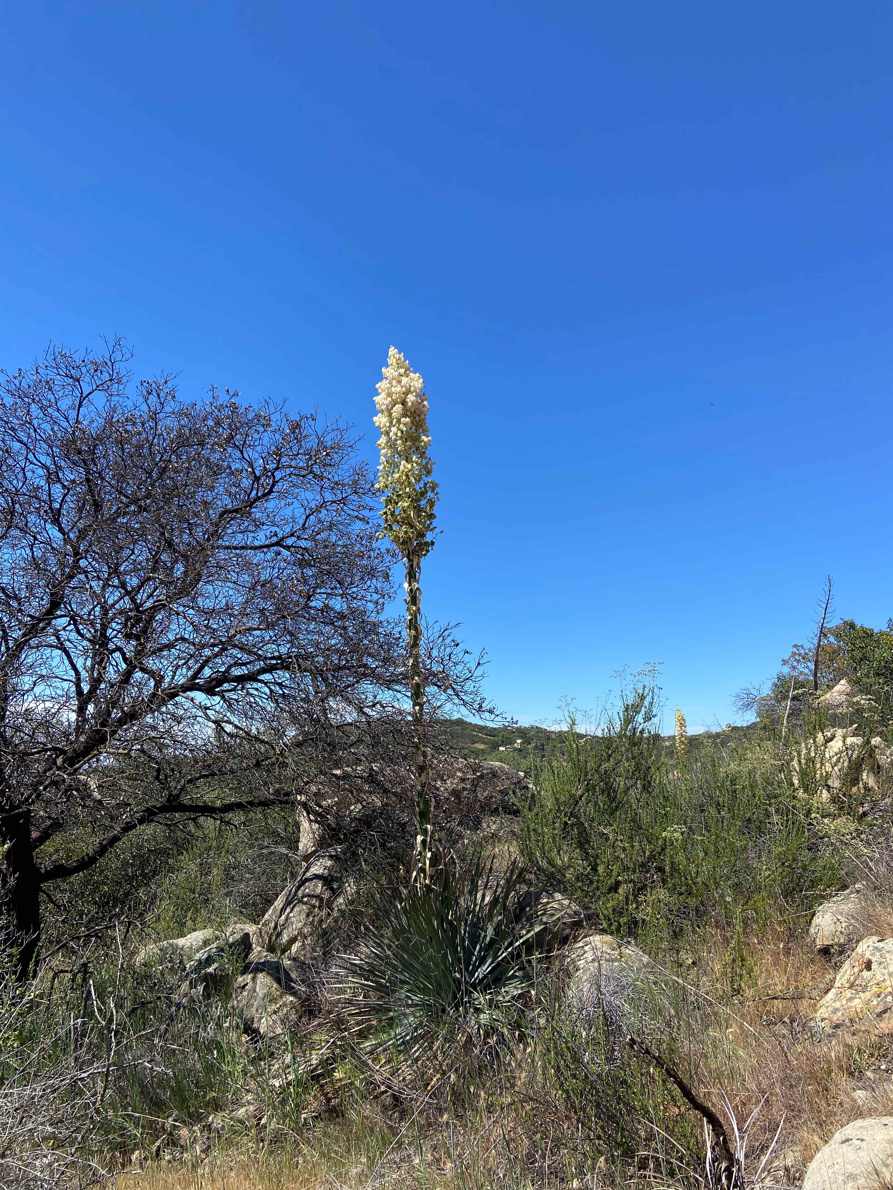 GoodVibes Ranch Disc Golf & Camping
