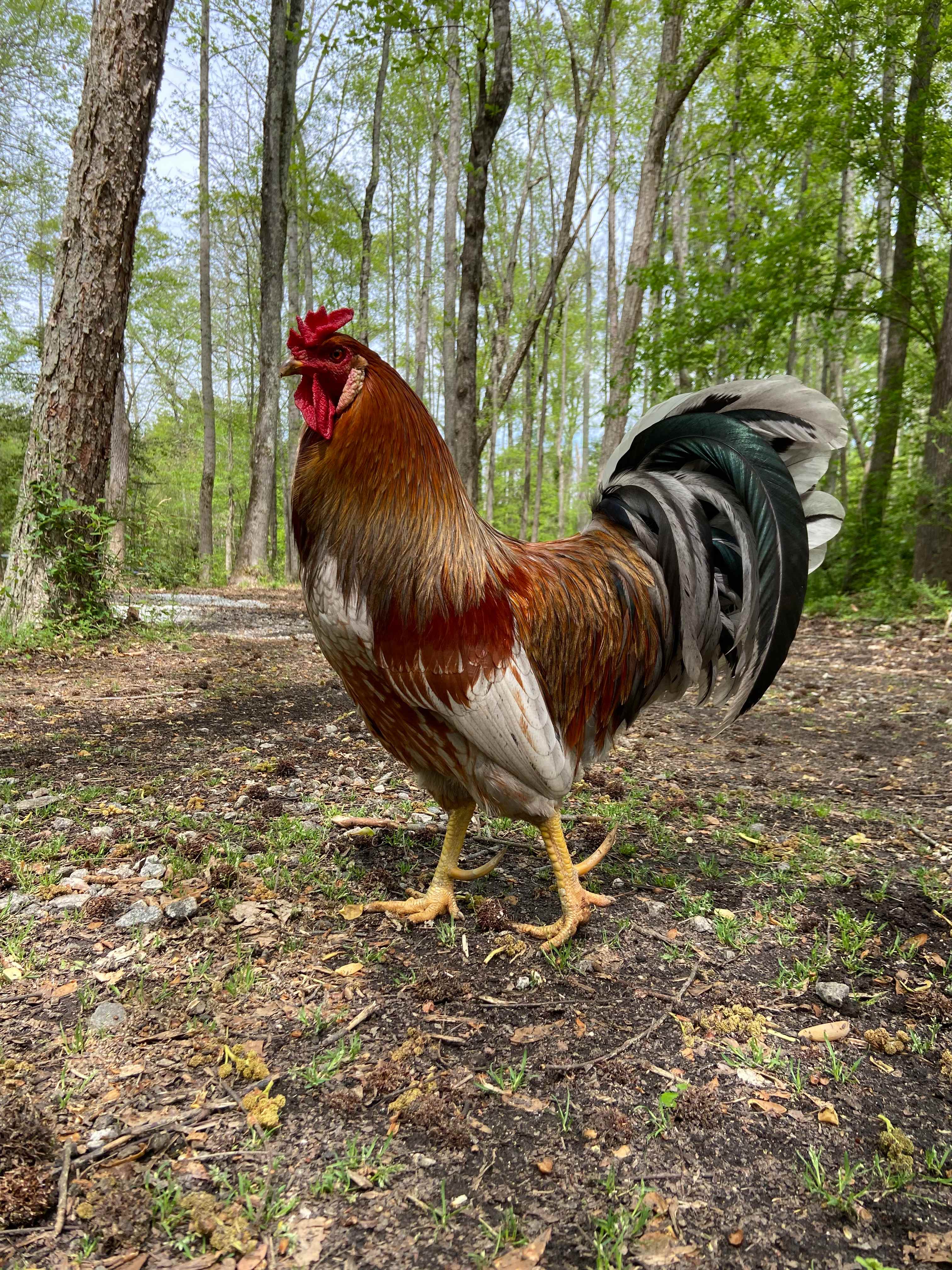 3 Creeks Camp and Nature Preserve
