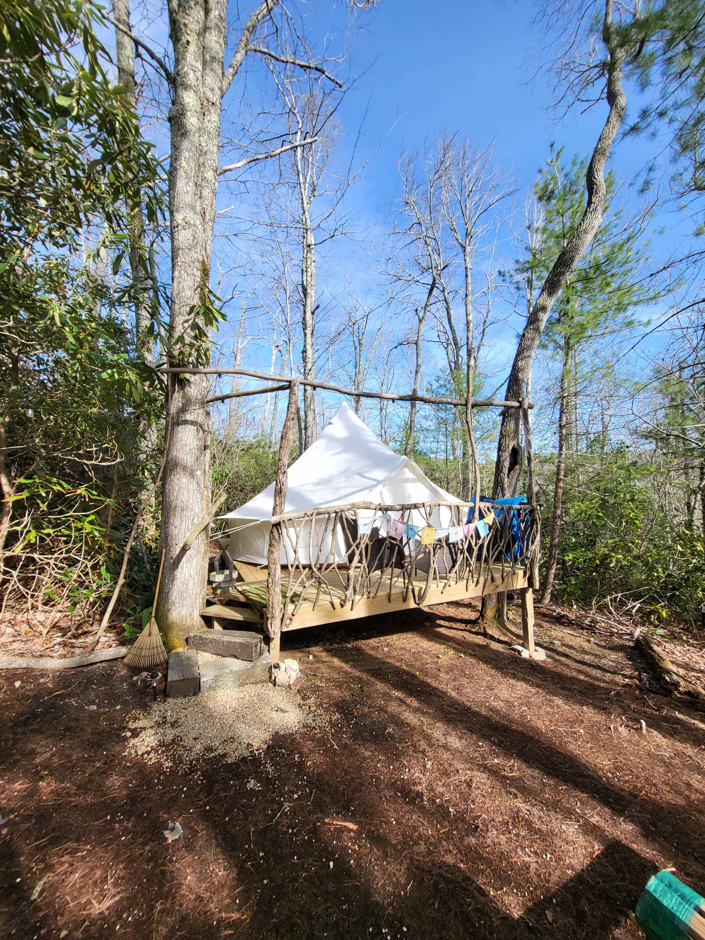 Picture of the site