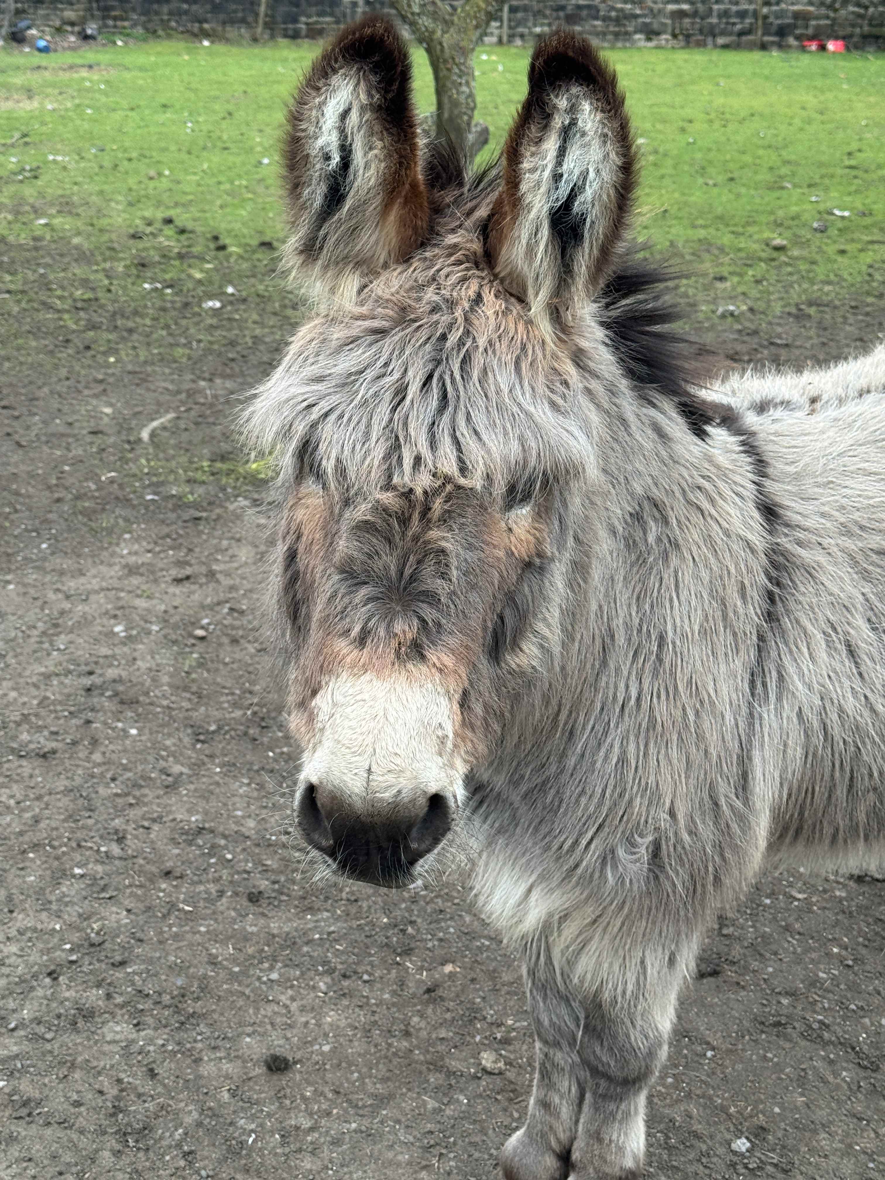 Lop Farm