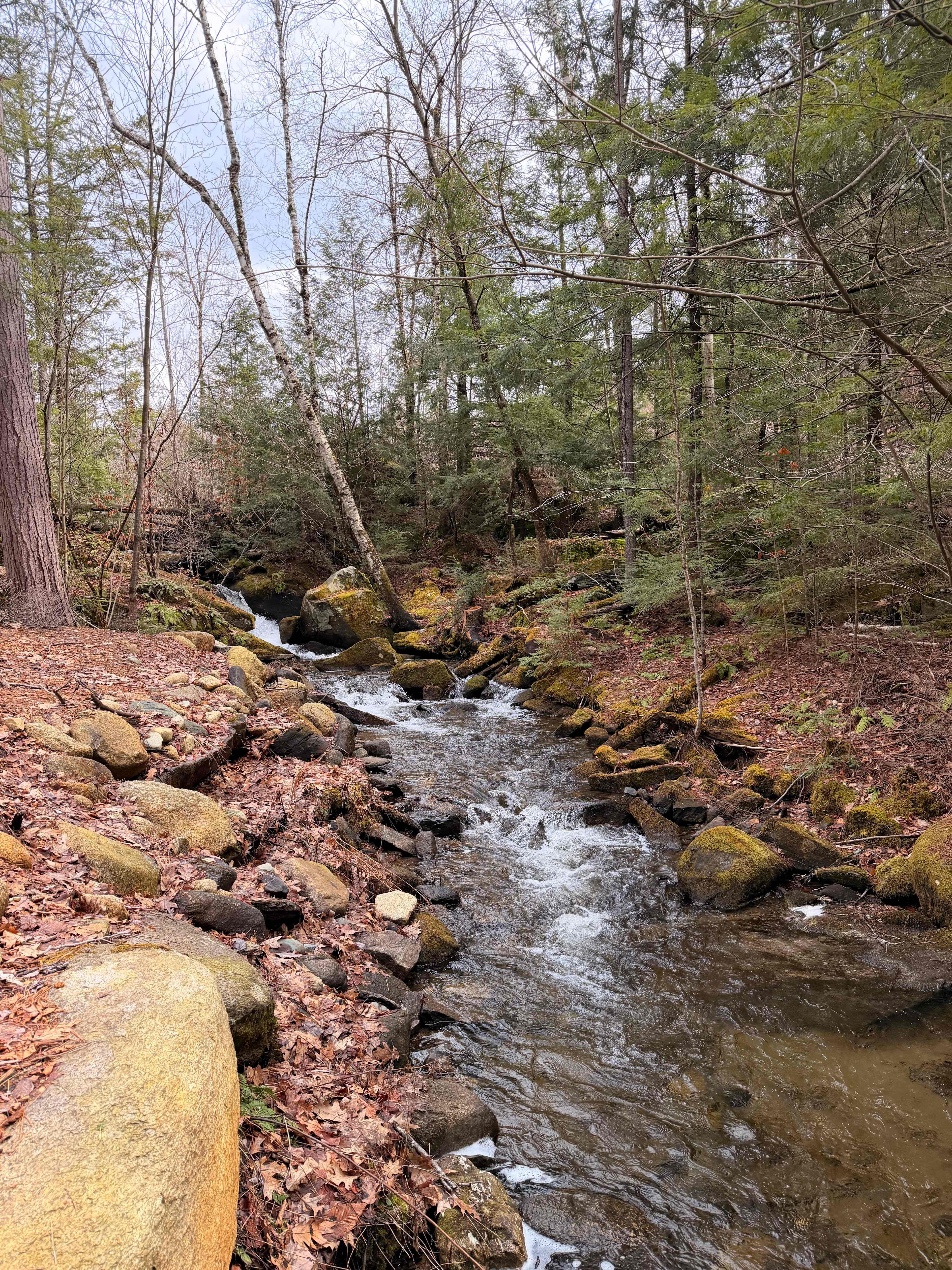 Dugout HideAway@ Granny Clark Brook