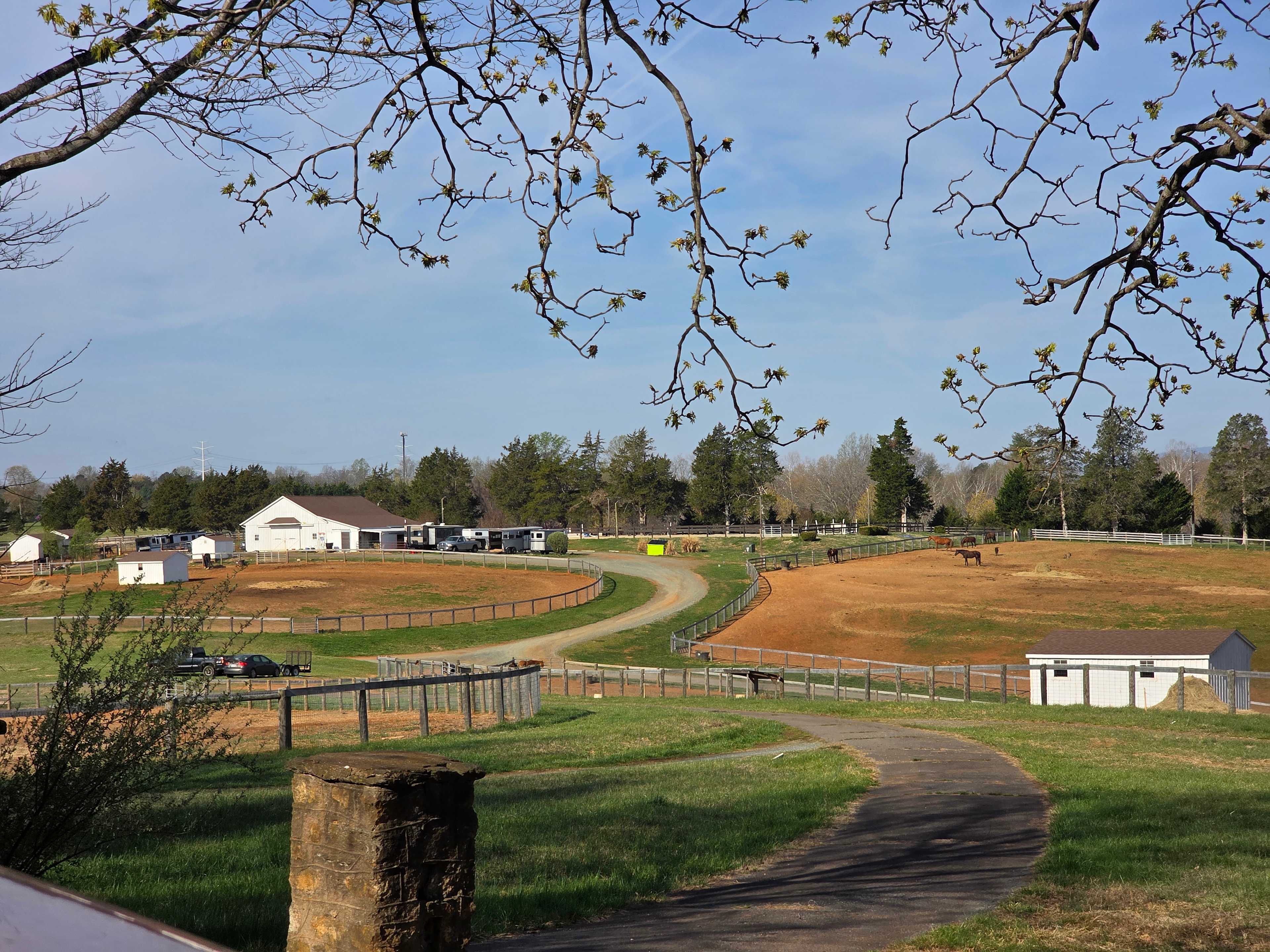Private Farm Minutes to Cville