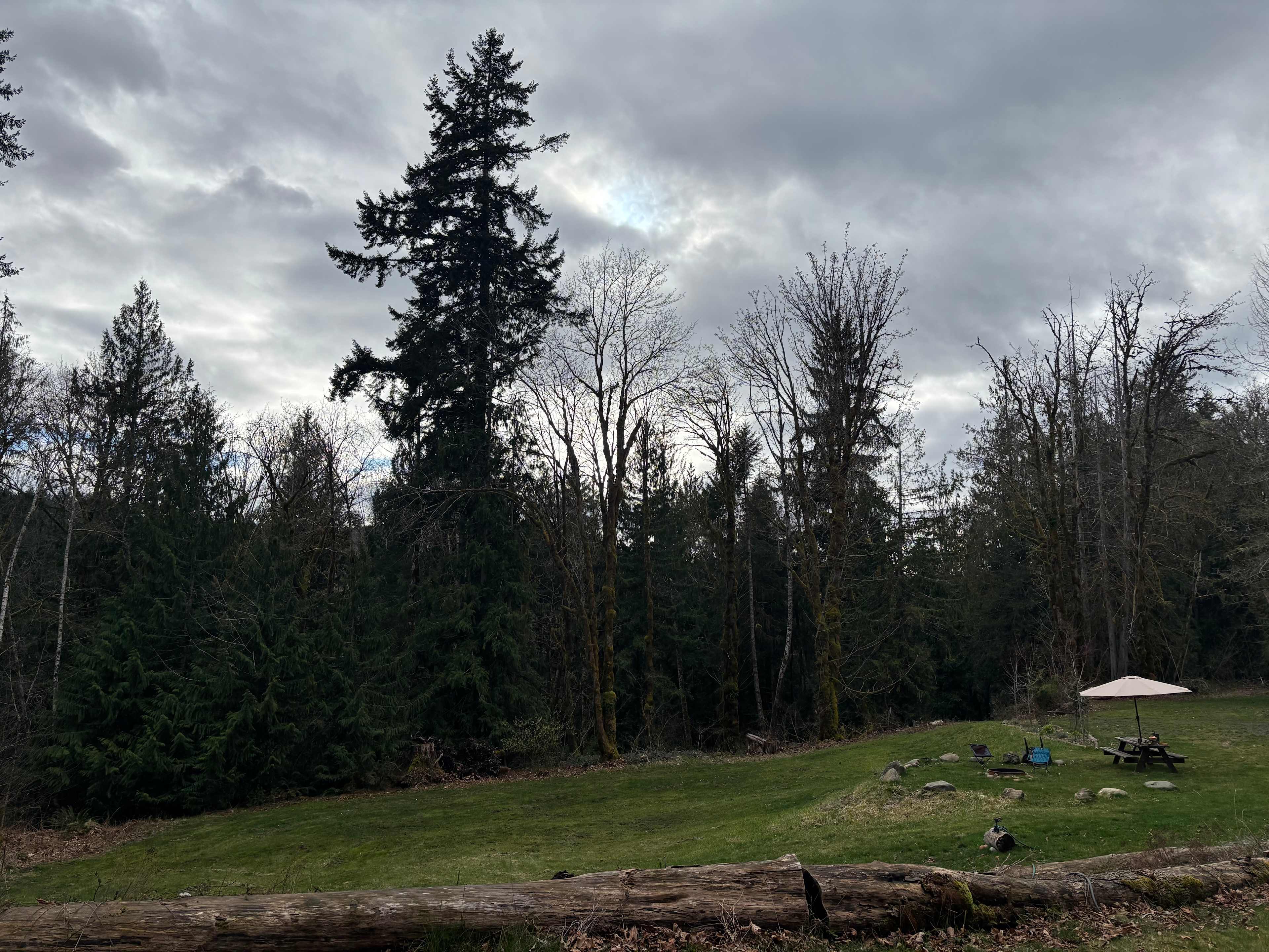 Camp Cushman