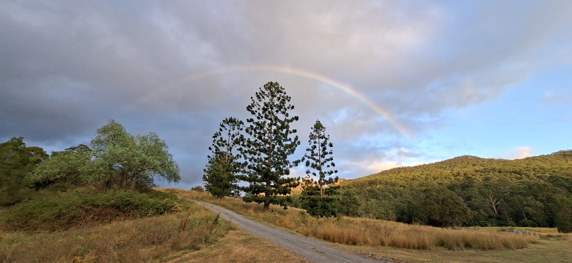 Bindarah Downs
