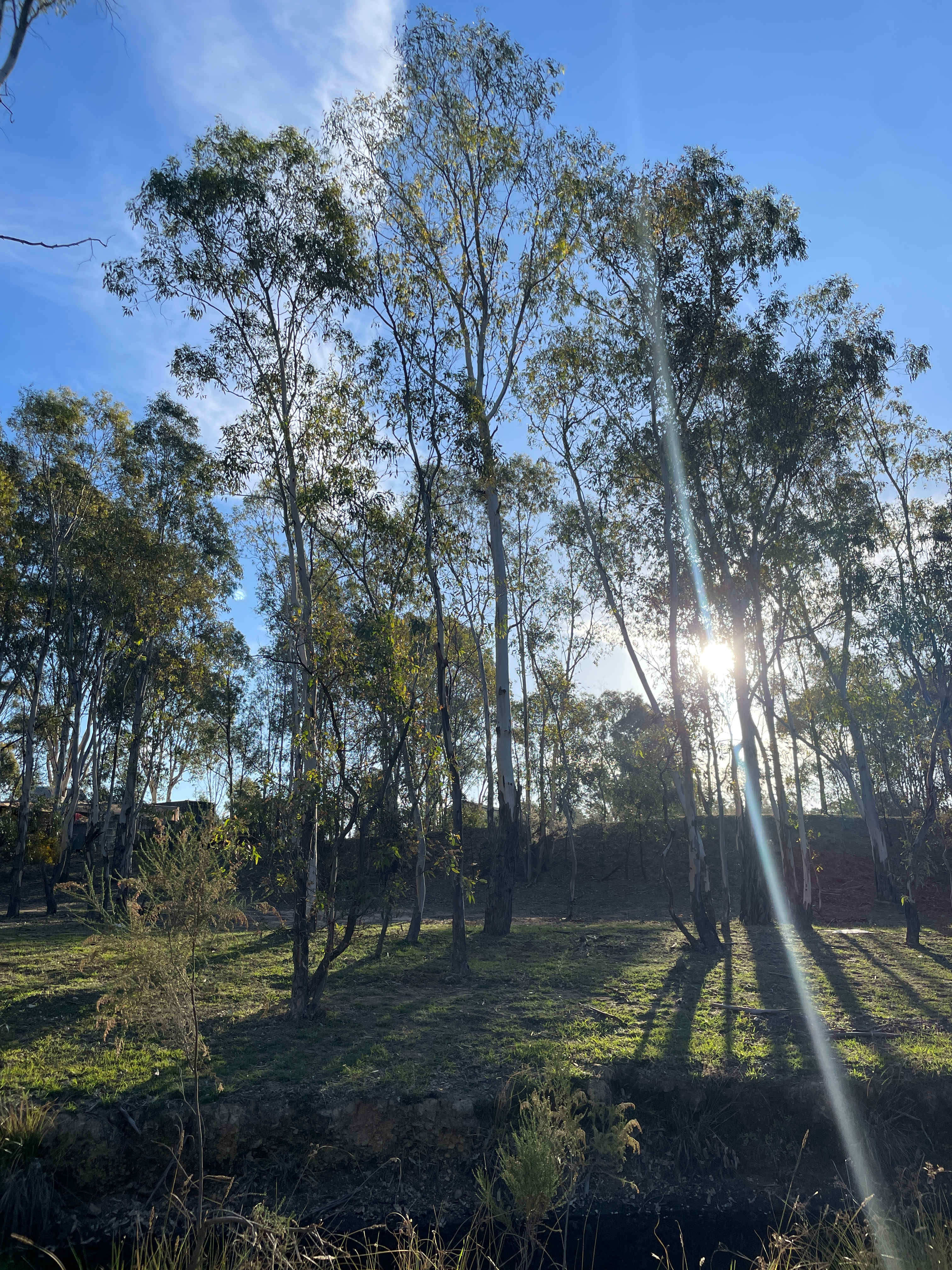 Heathcote Bushcamp