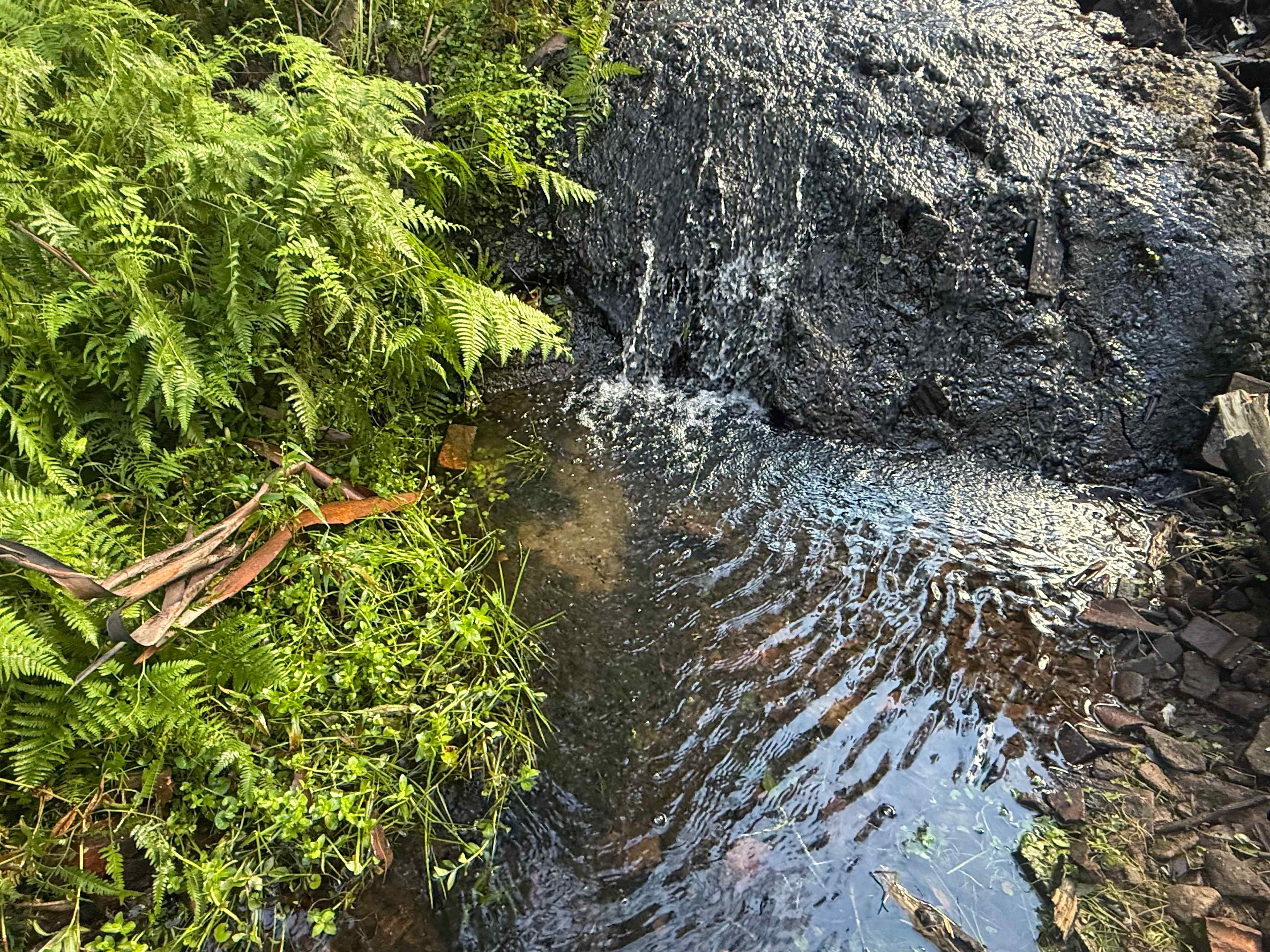 Creek nearby 