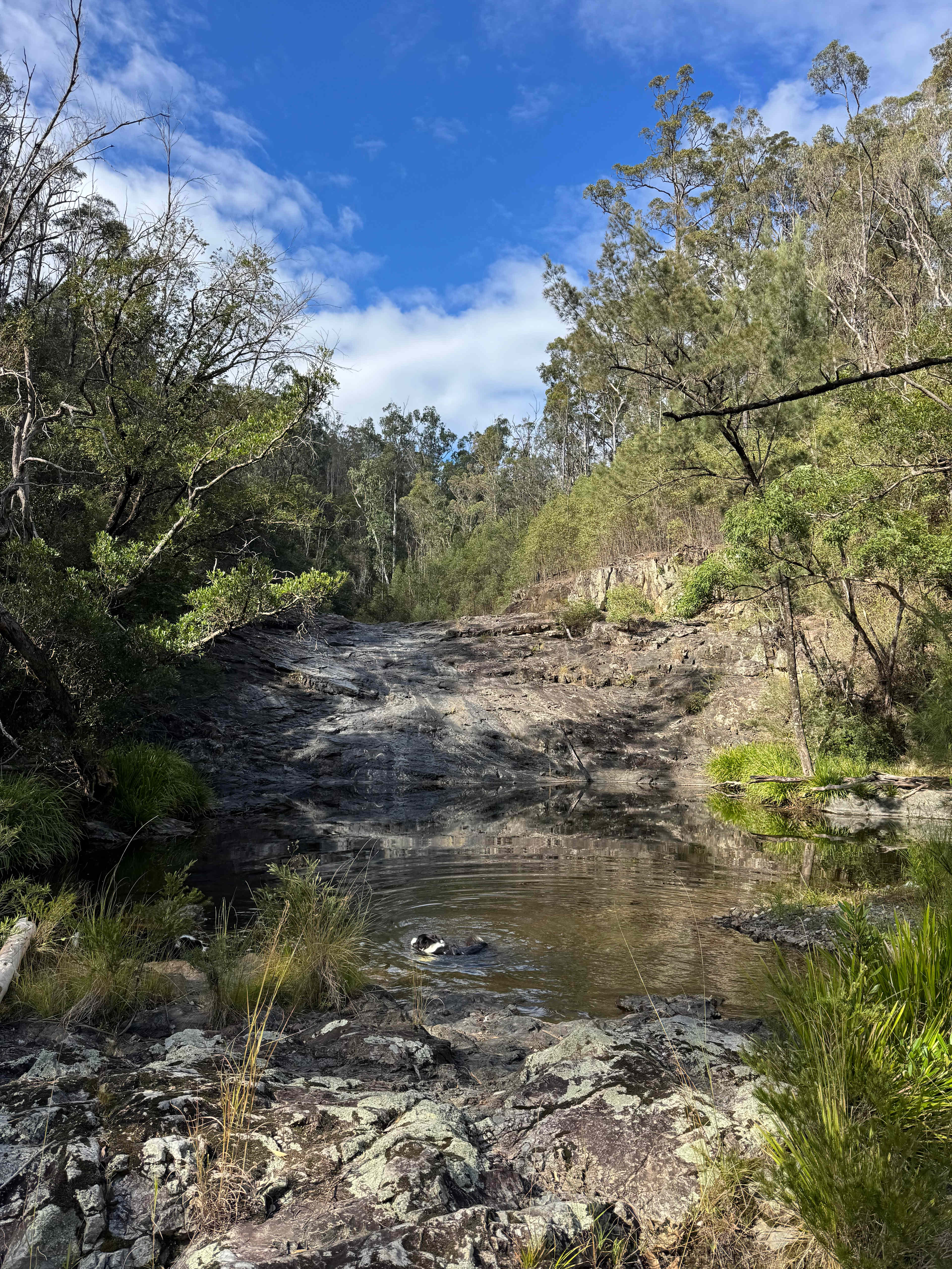 Bandicoot Bend