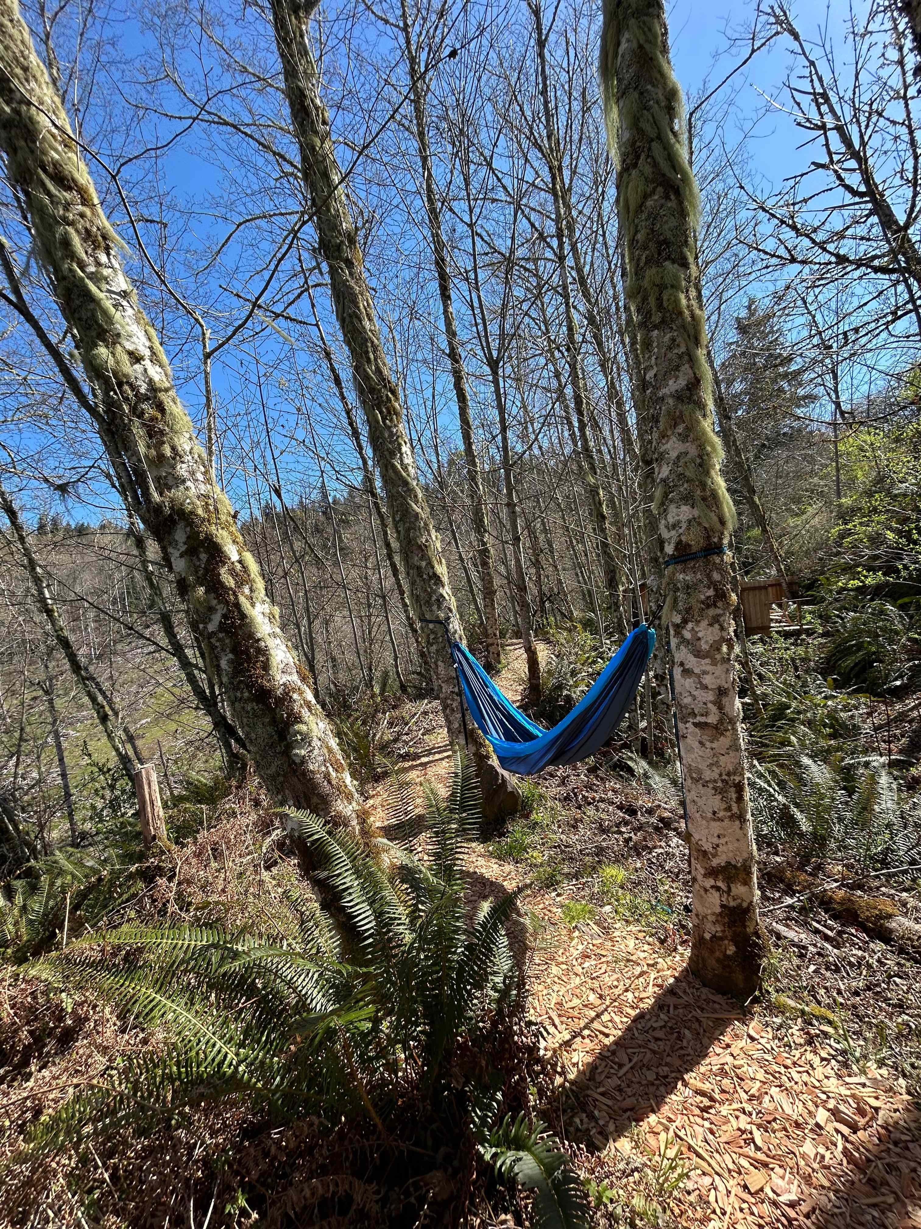 Alder Grove Retreat