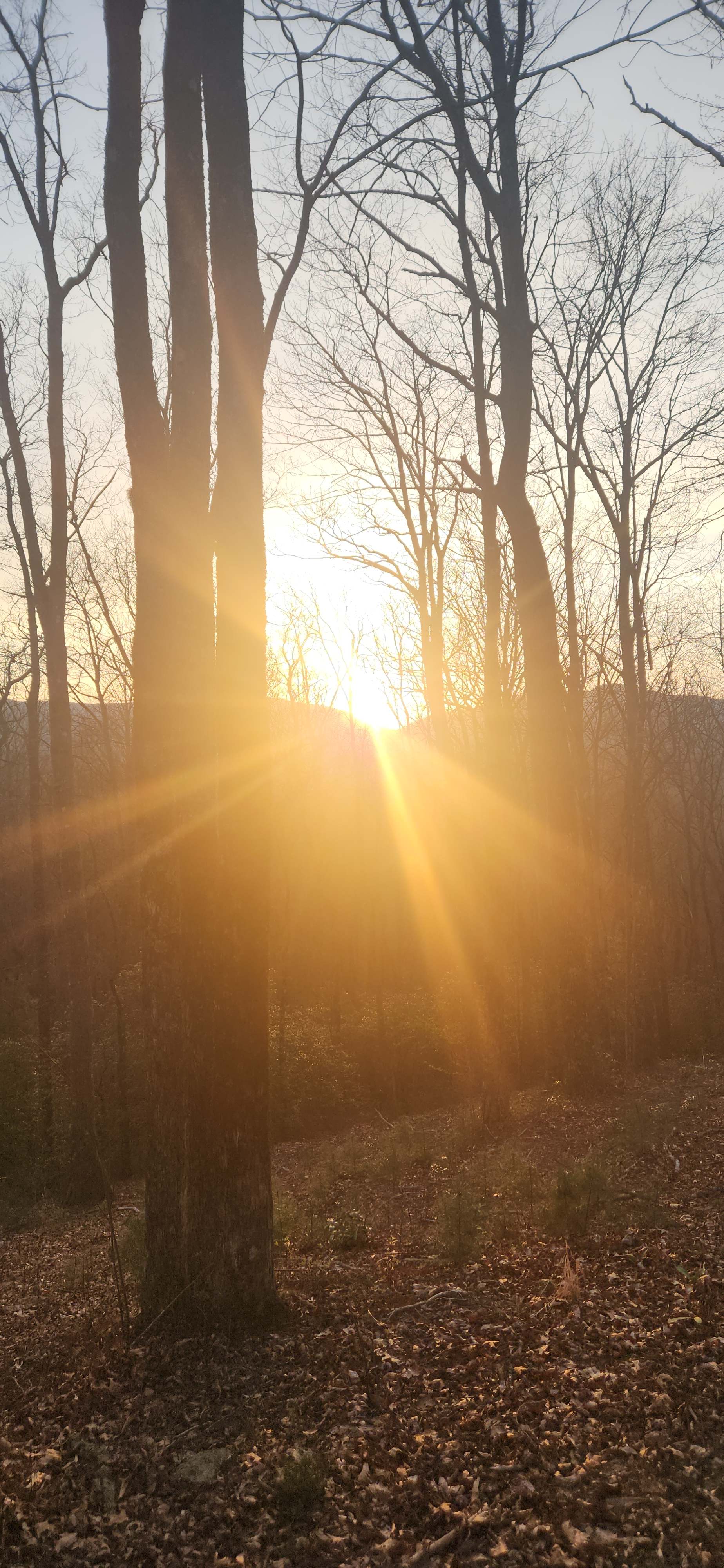 Sunset from the area across from rv site