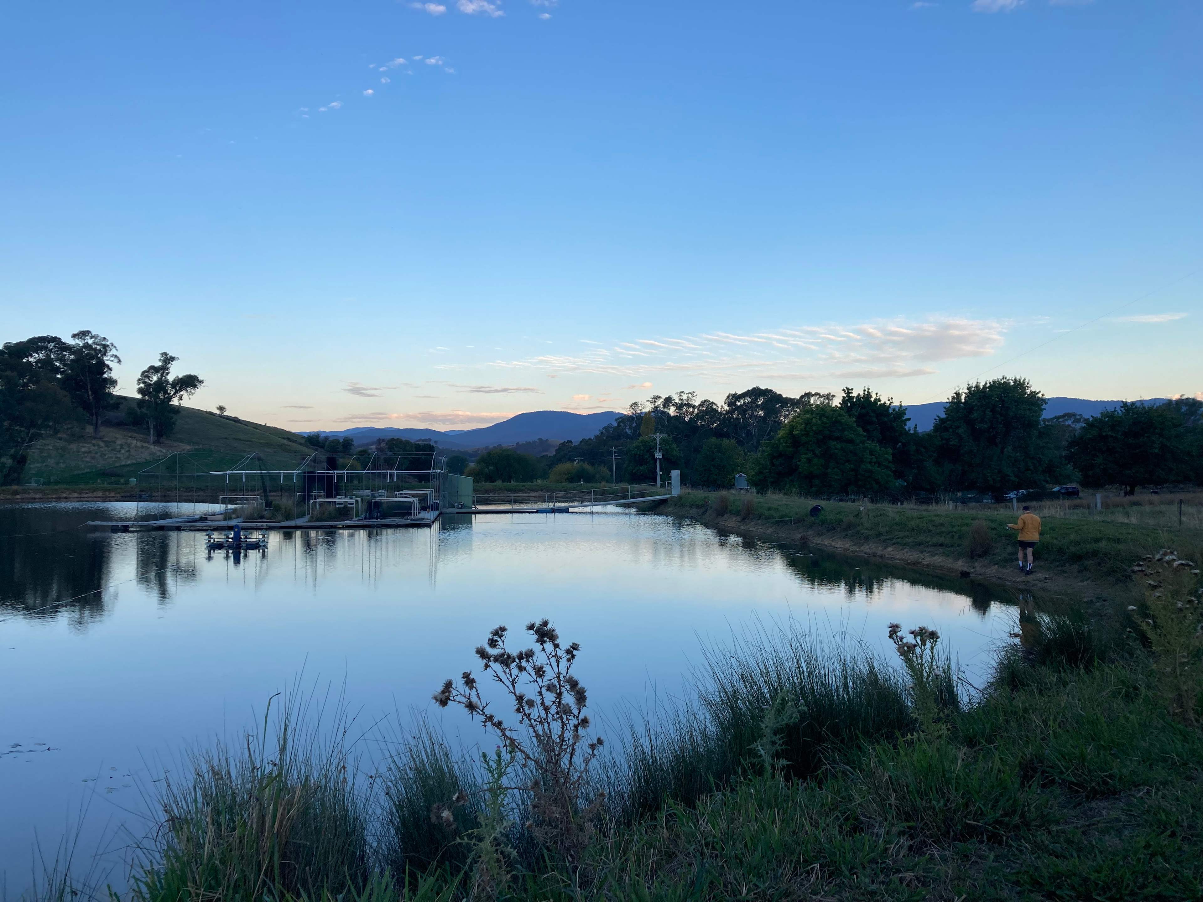 Glenwaters Farmstays