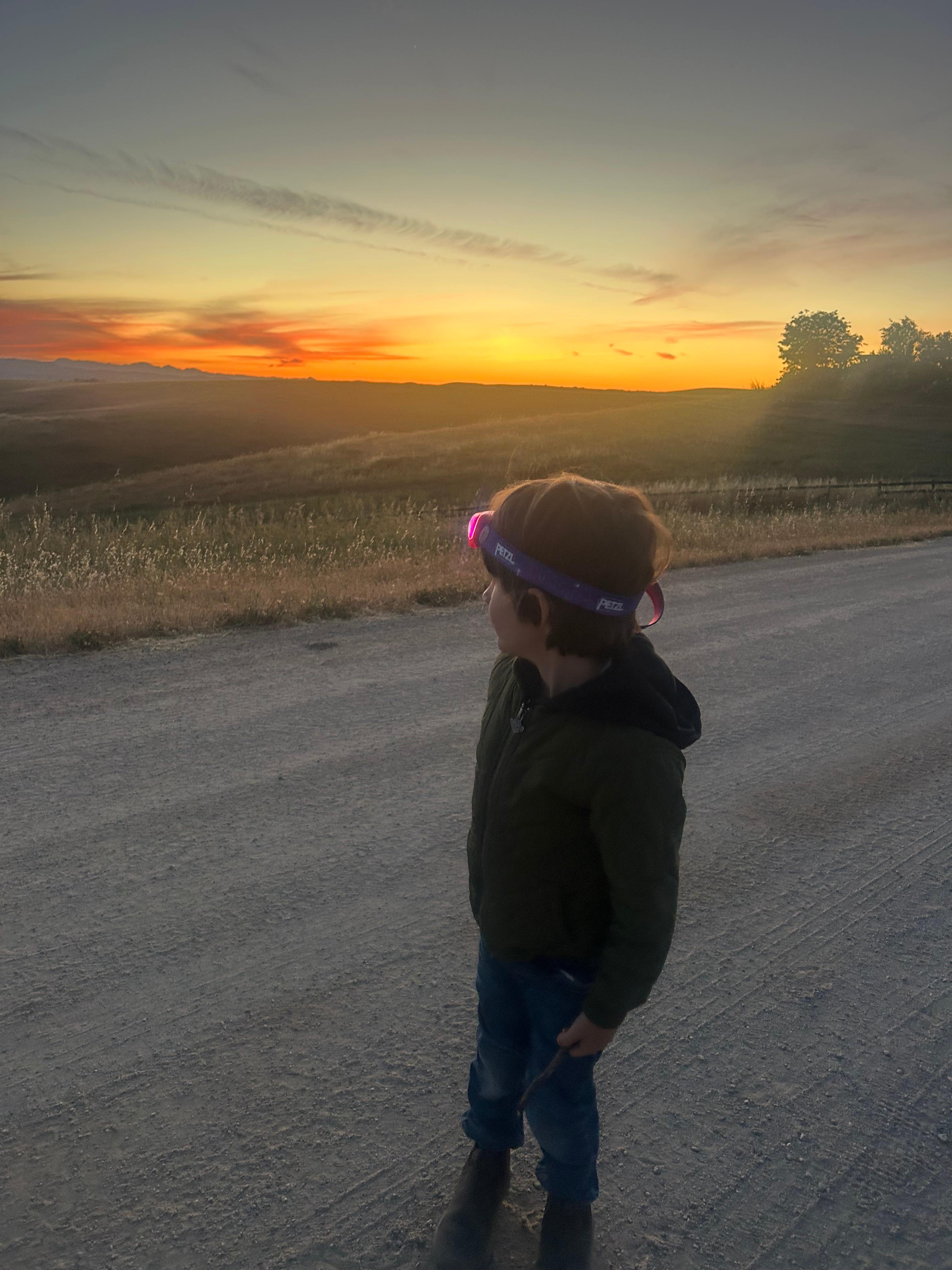 Beautiful sunset! 