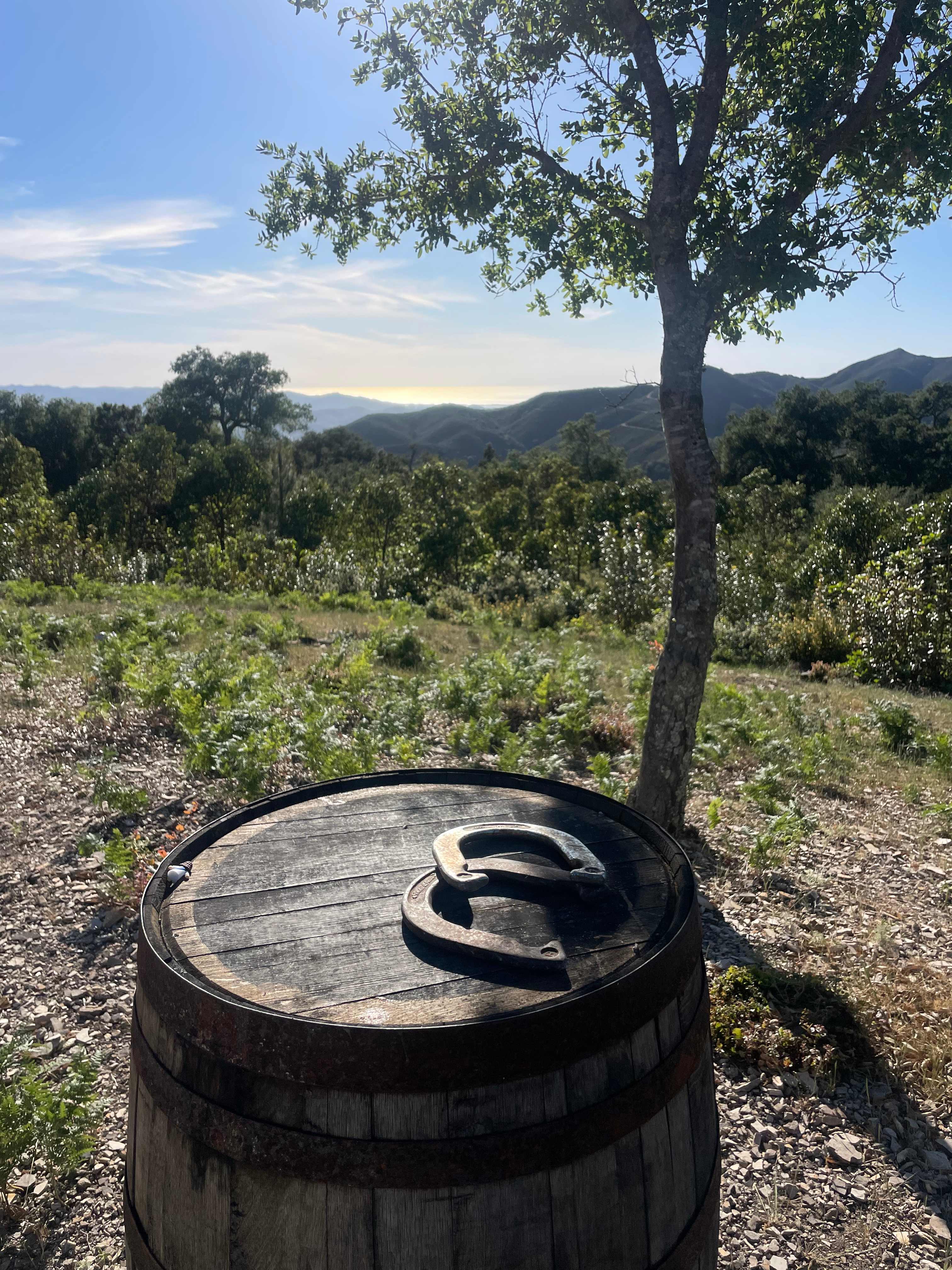 Mt Rancho (FKA La Montaña Ranch)
