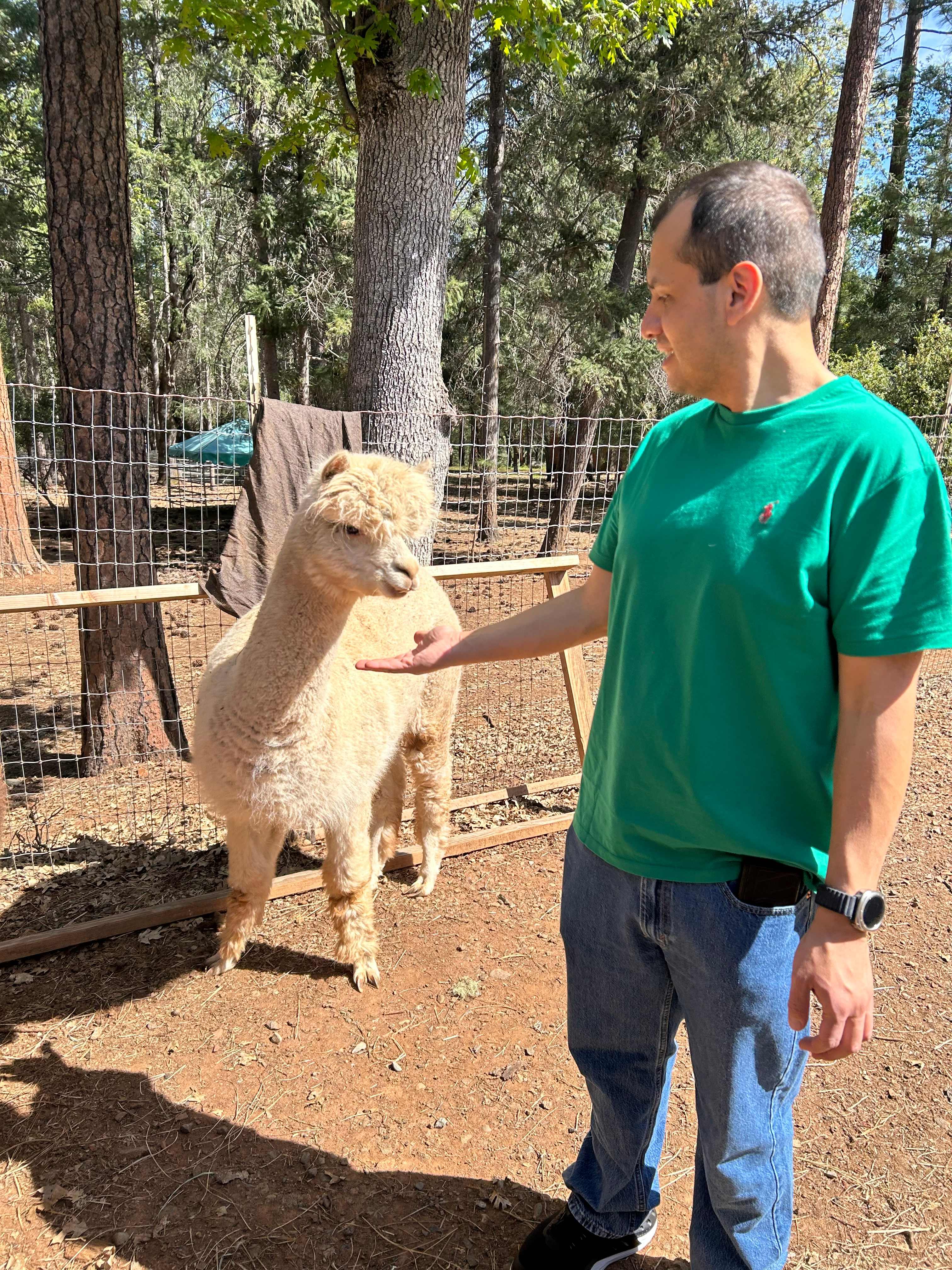 One Thing Ranch - Alpacas & Llamas