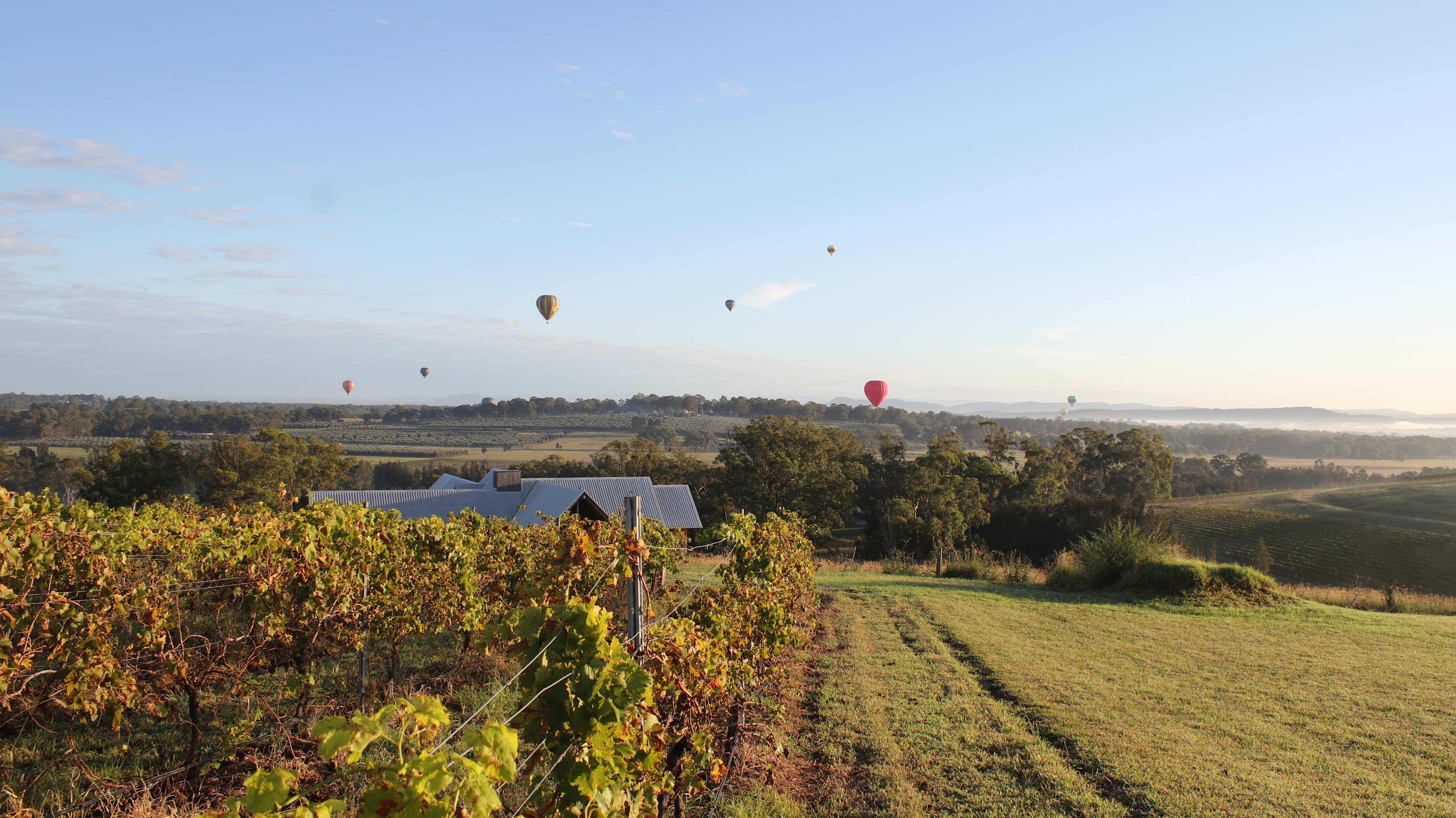 Spectacular  Hot Air balloons 