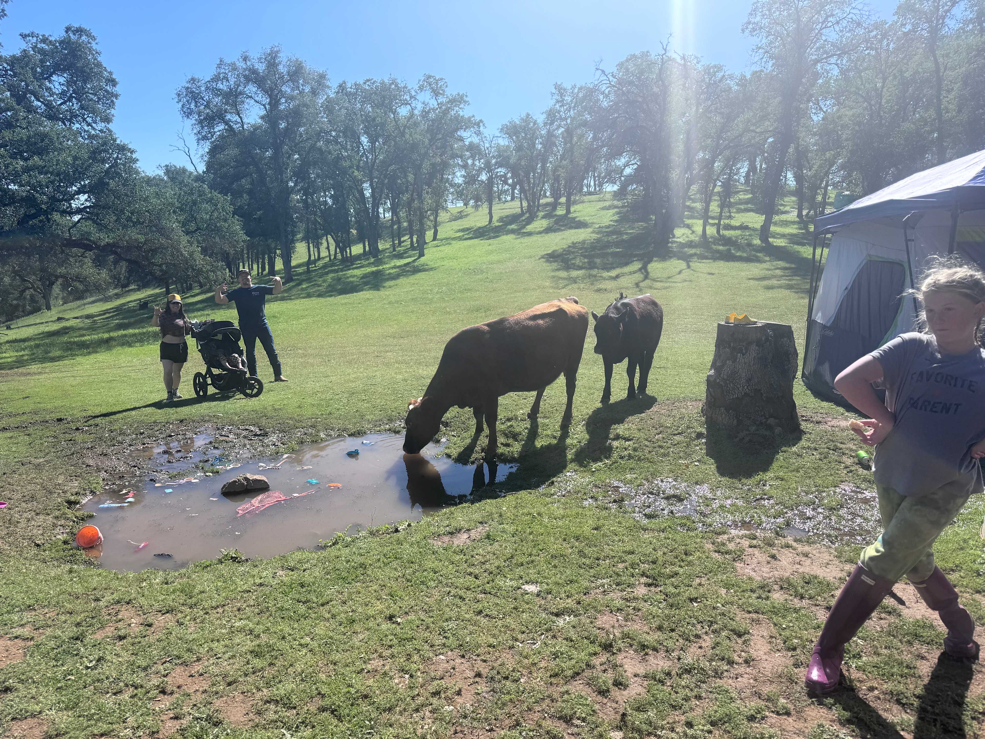 Ascension Ranch