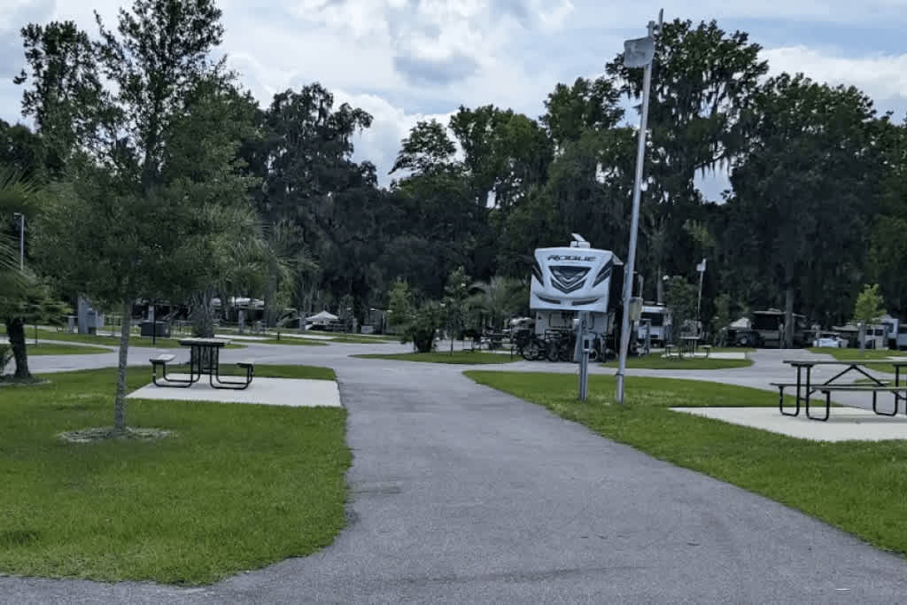 Picture of the site