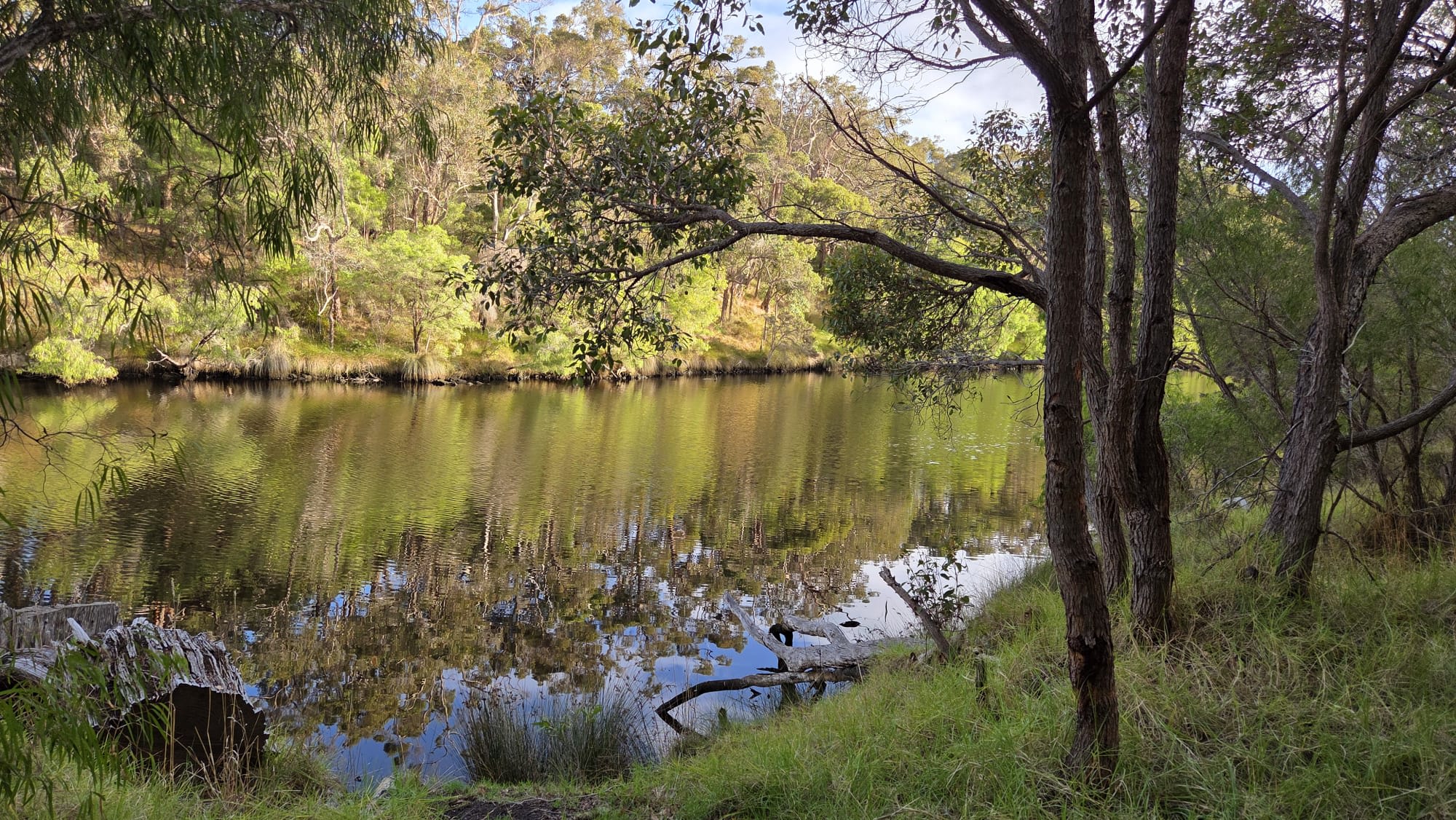 Kalgan River at the bottom of Wayne's property