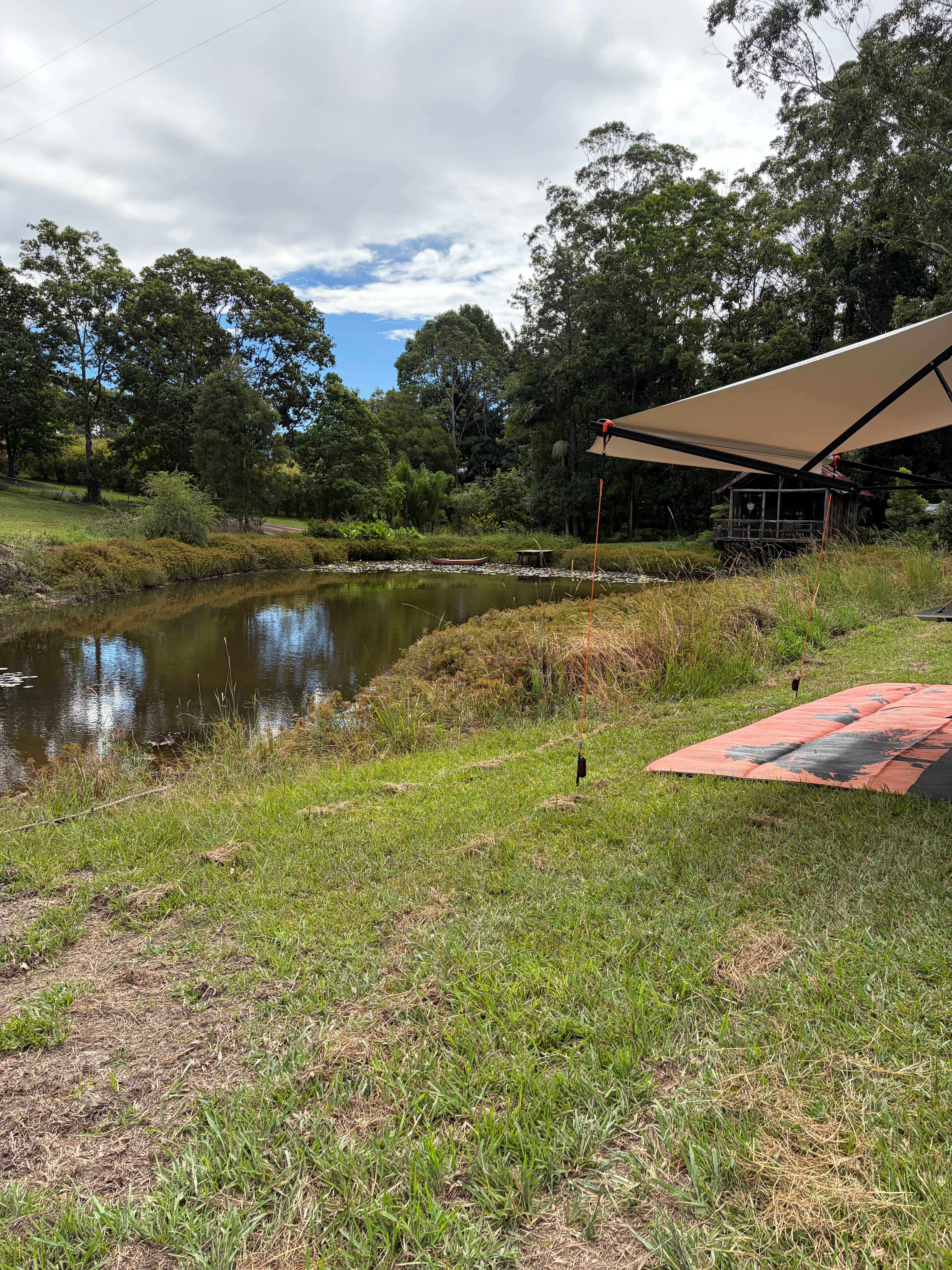 Bucca Valley Blueberries Farmstay