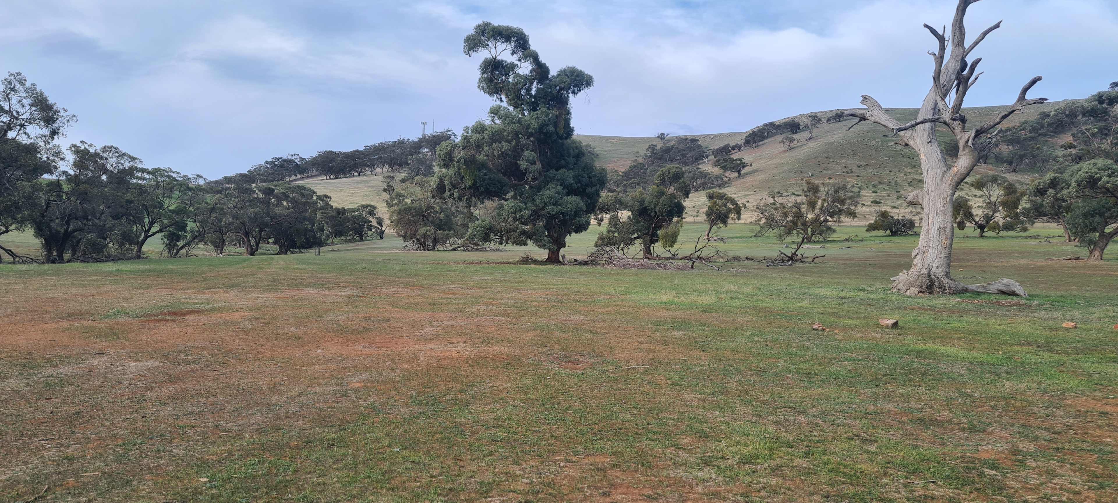 Edgehill Farm Stays Riverton