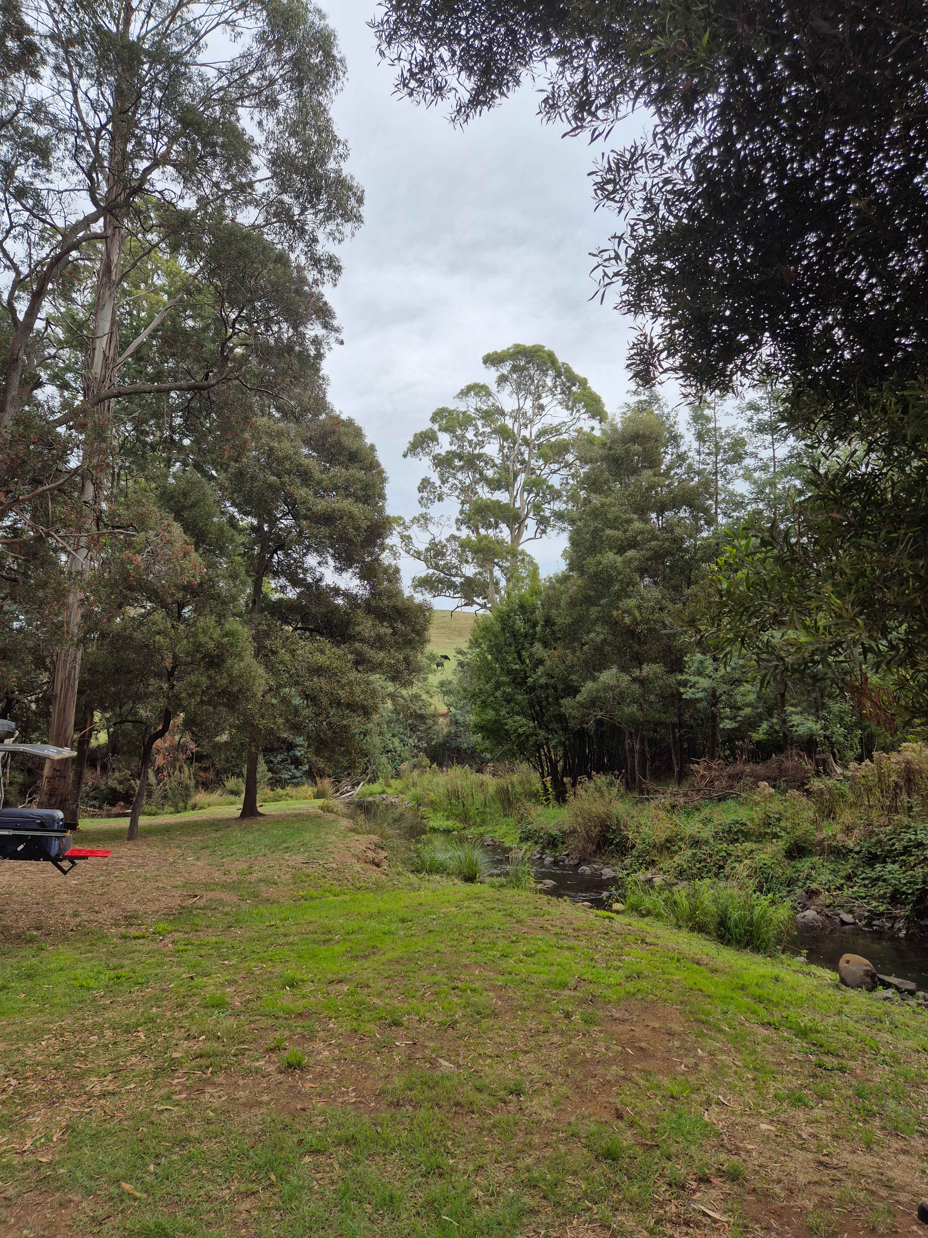 Blythe River Campground