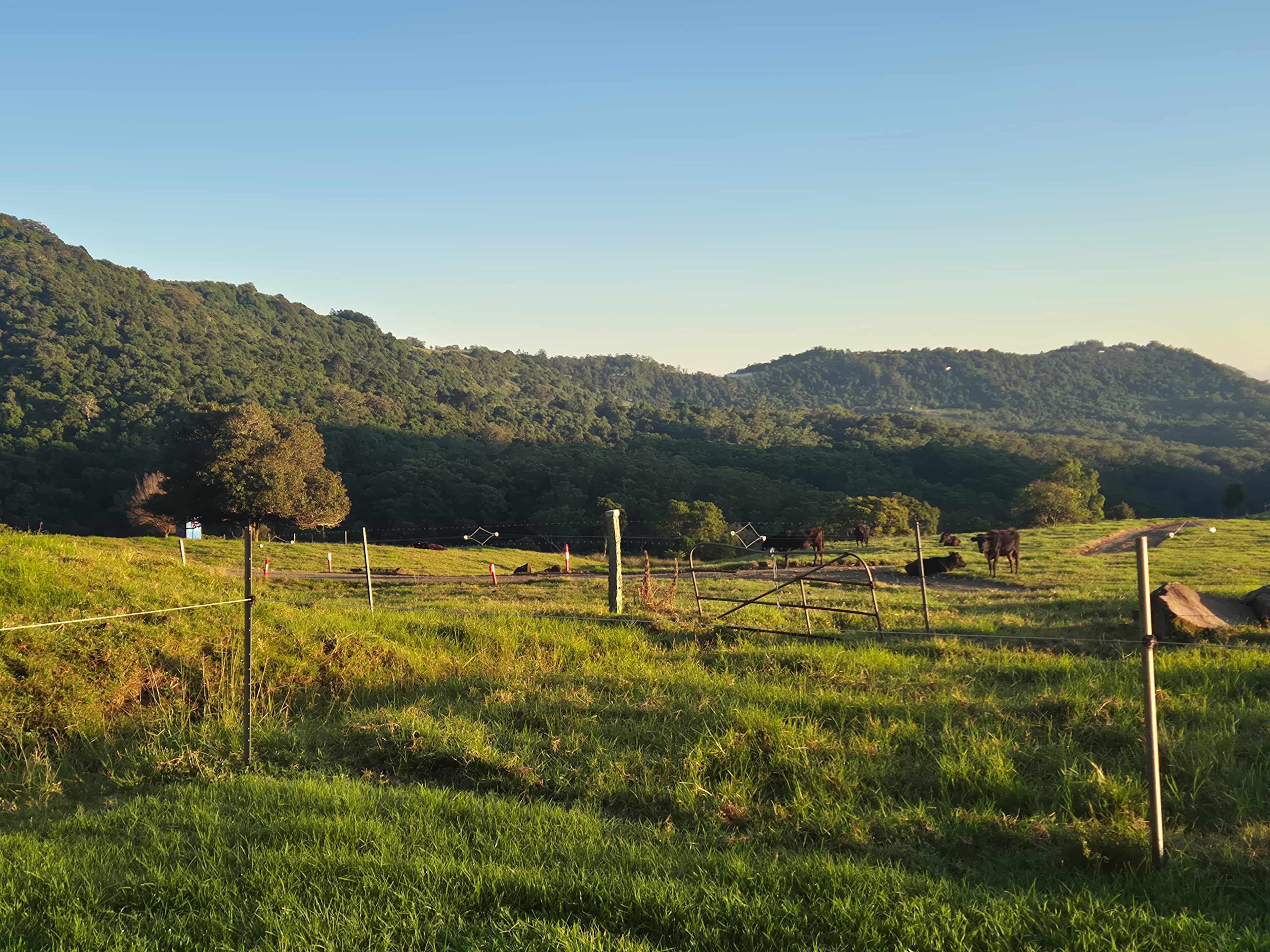 Riverdell Country