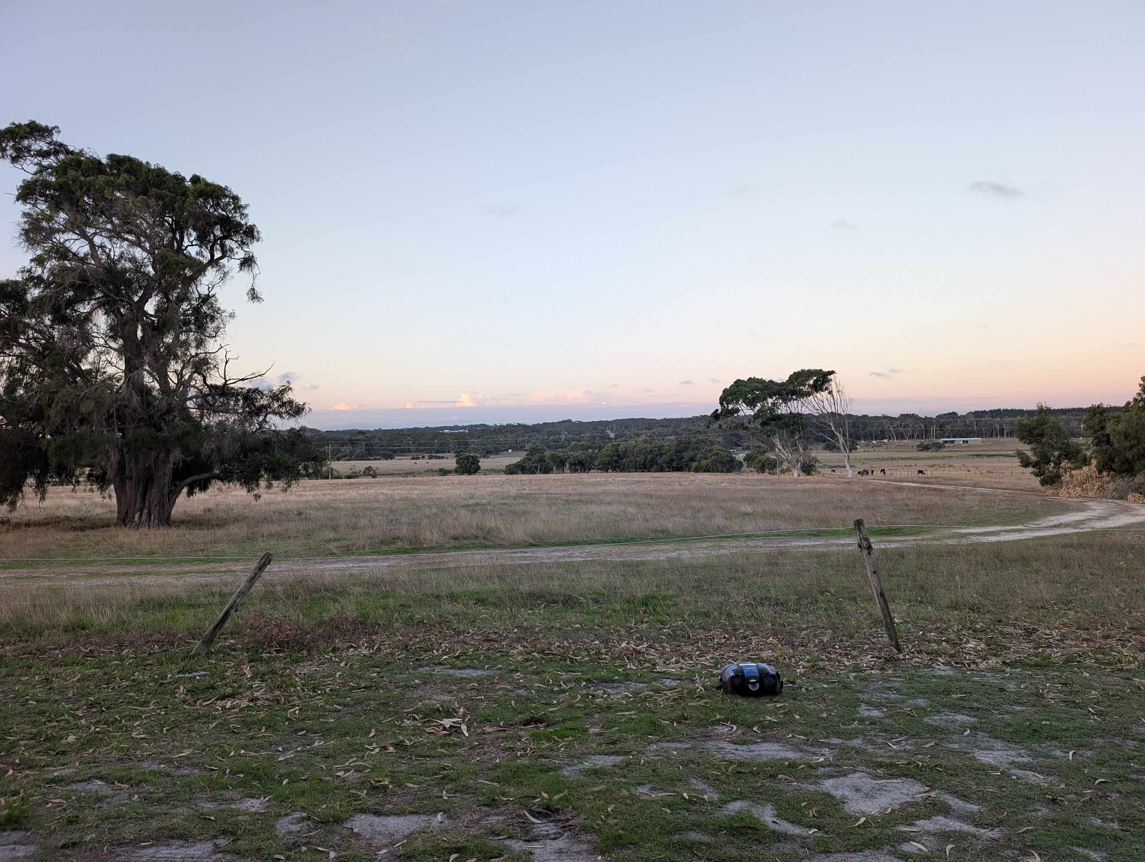 Grass Roots Deepdene