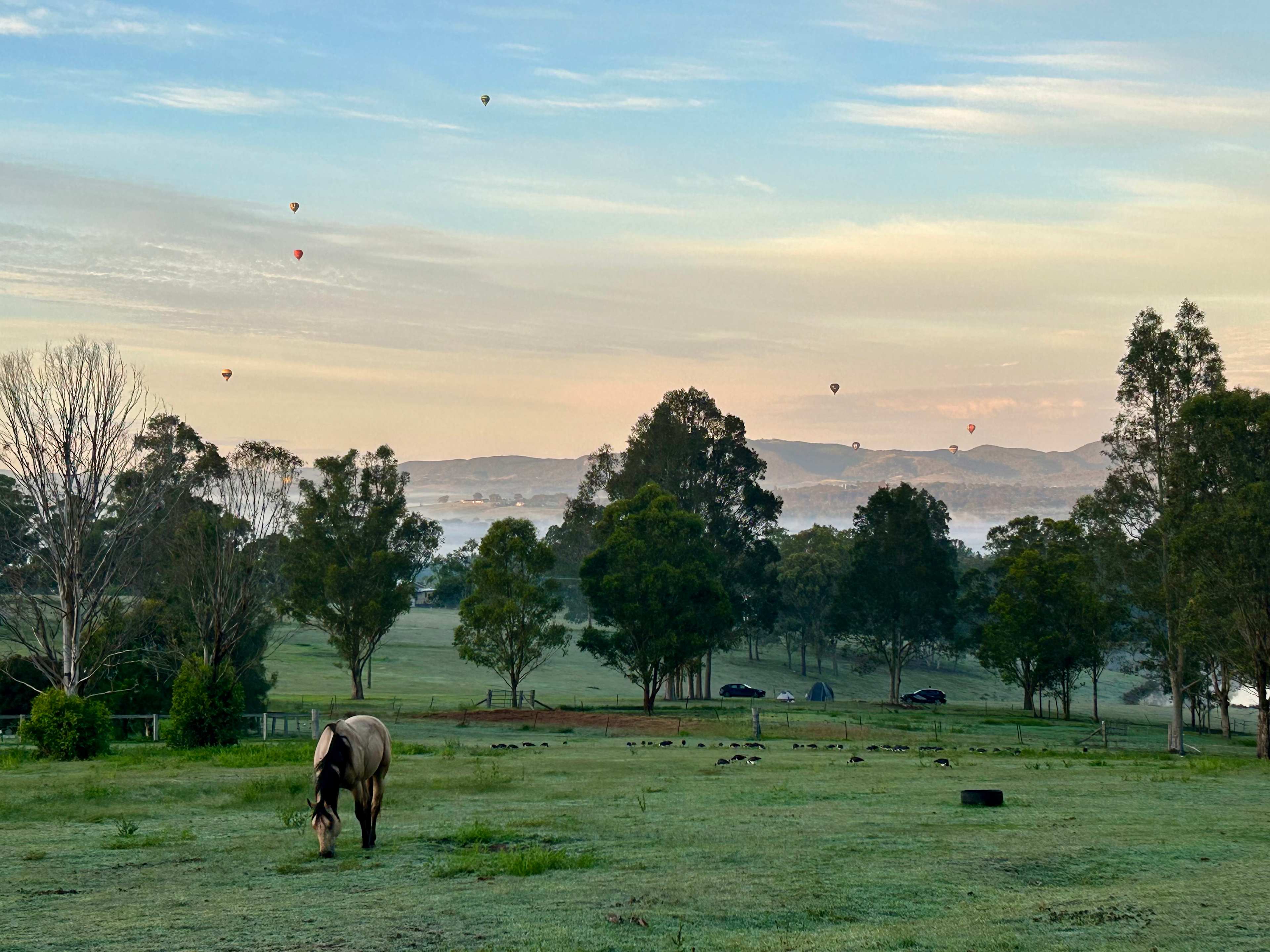 Lovedale Farm Stay  & Horseriding
