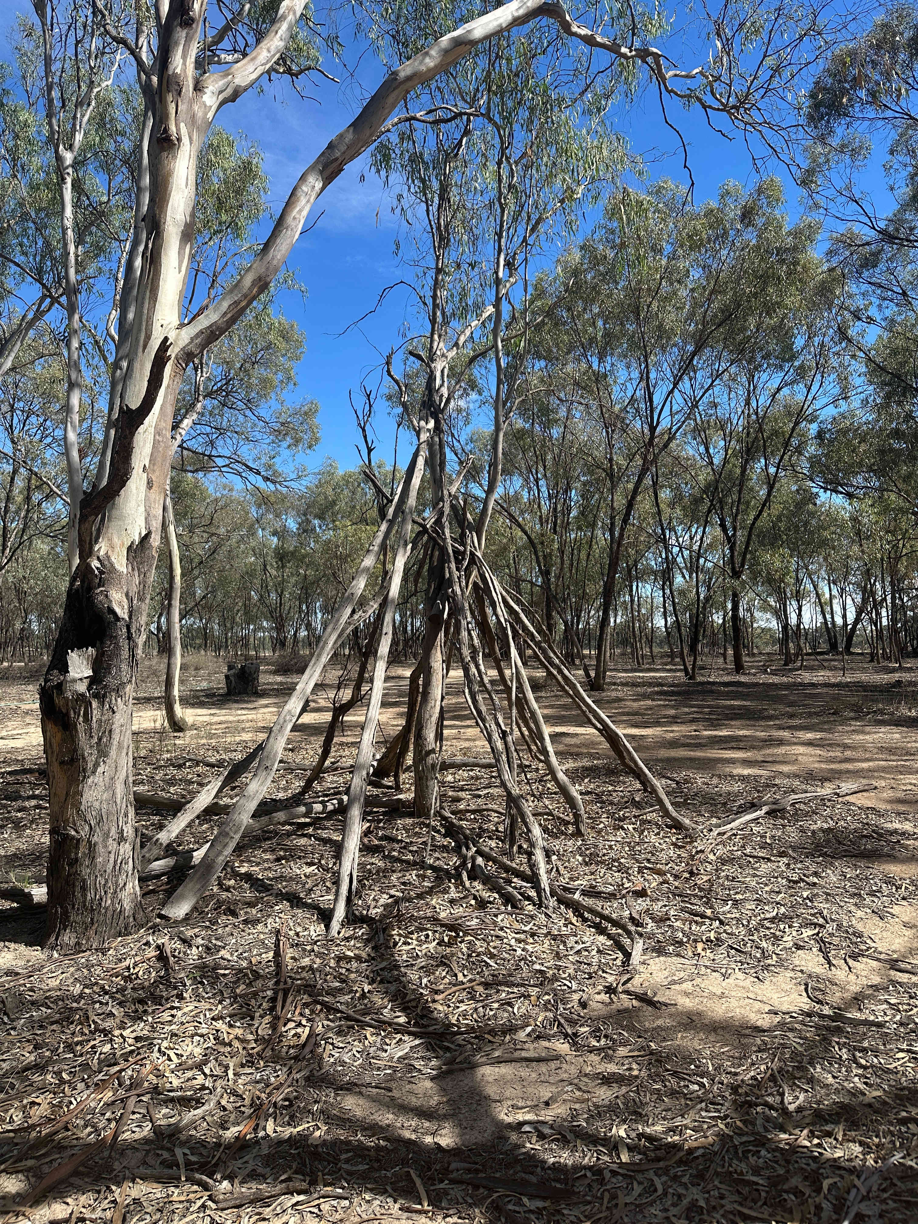 Tooranie Stay Echuca Moama