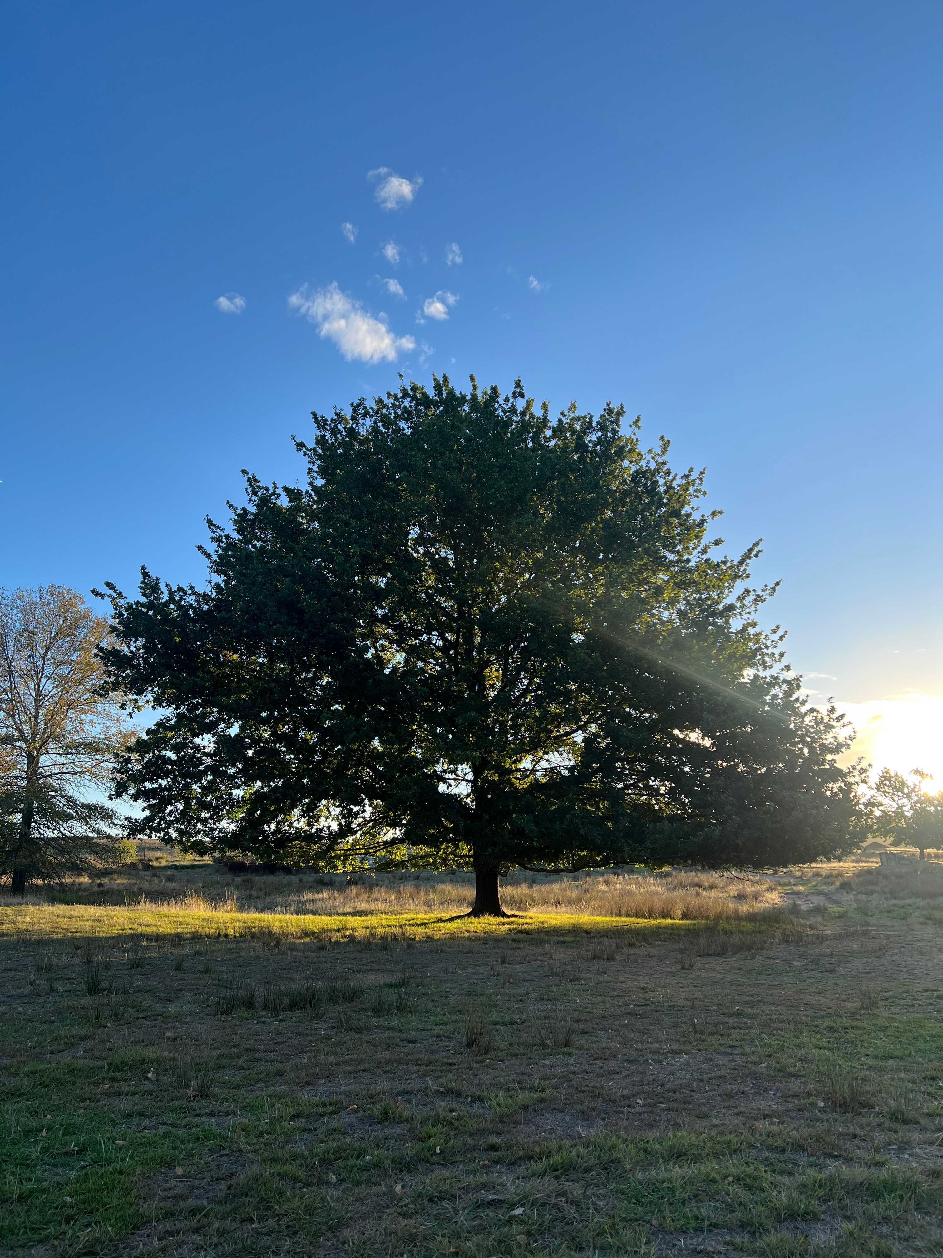 Redlands Camping