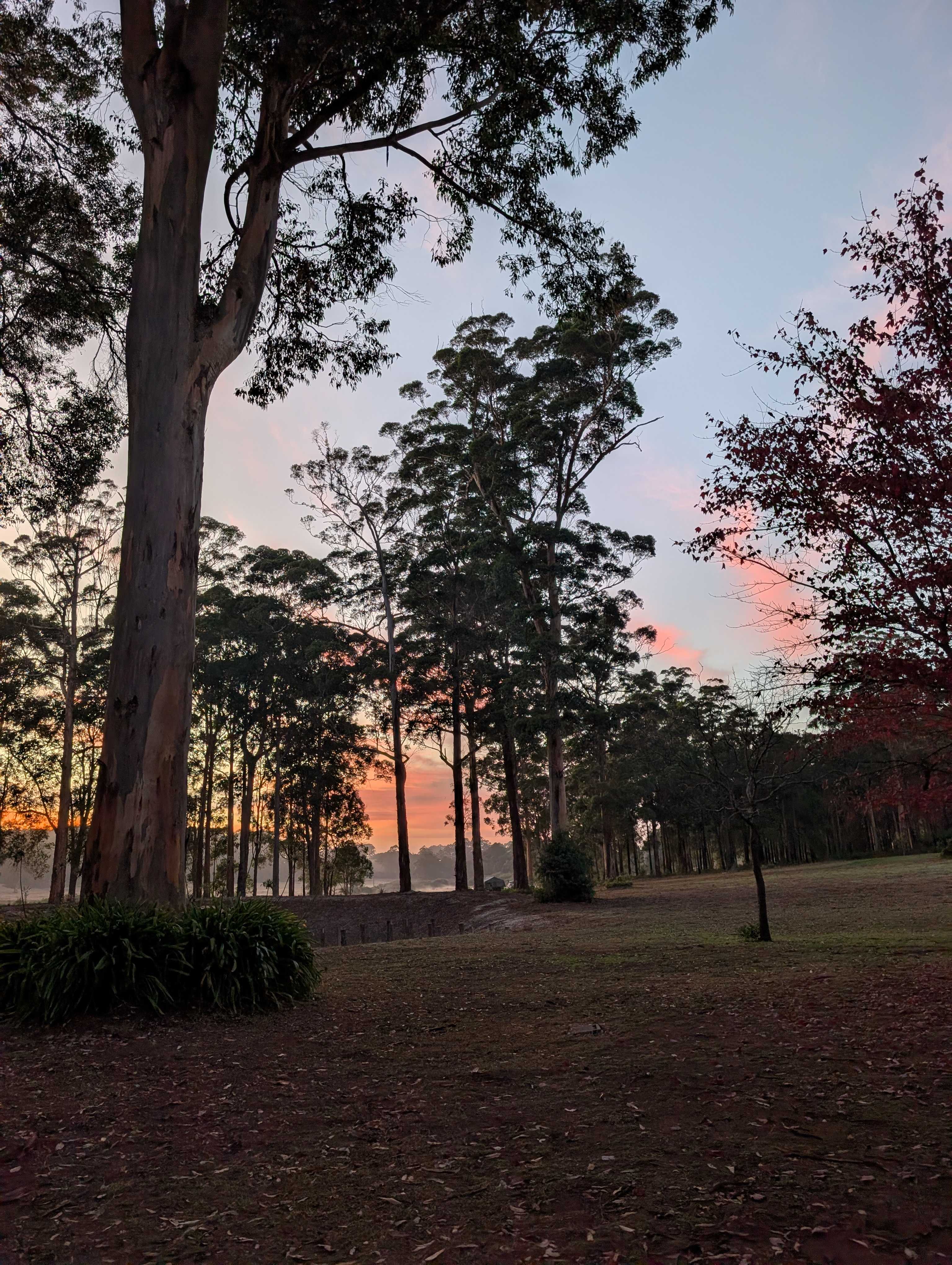 Sunrise View