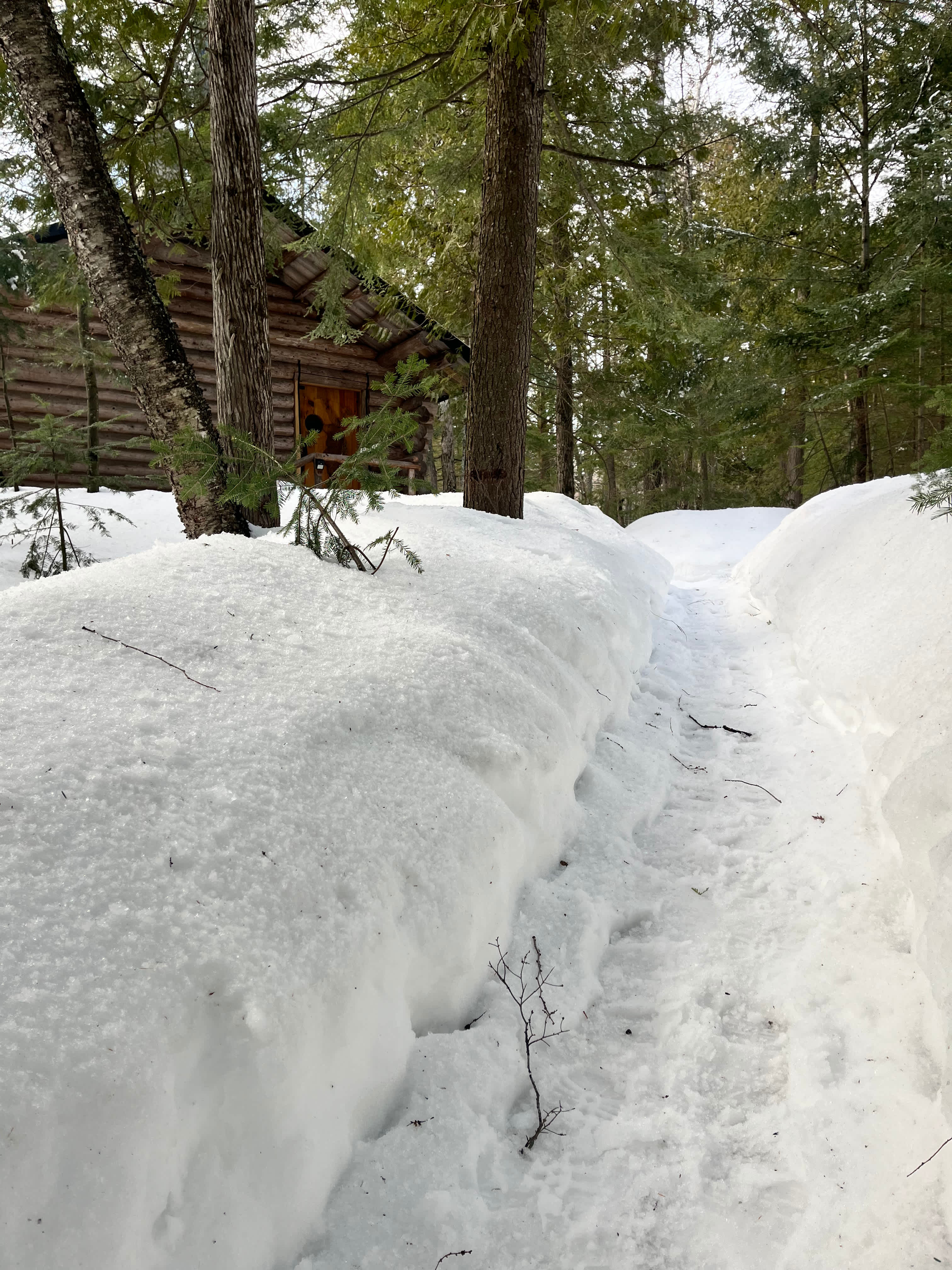 Cabin Trail