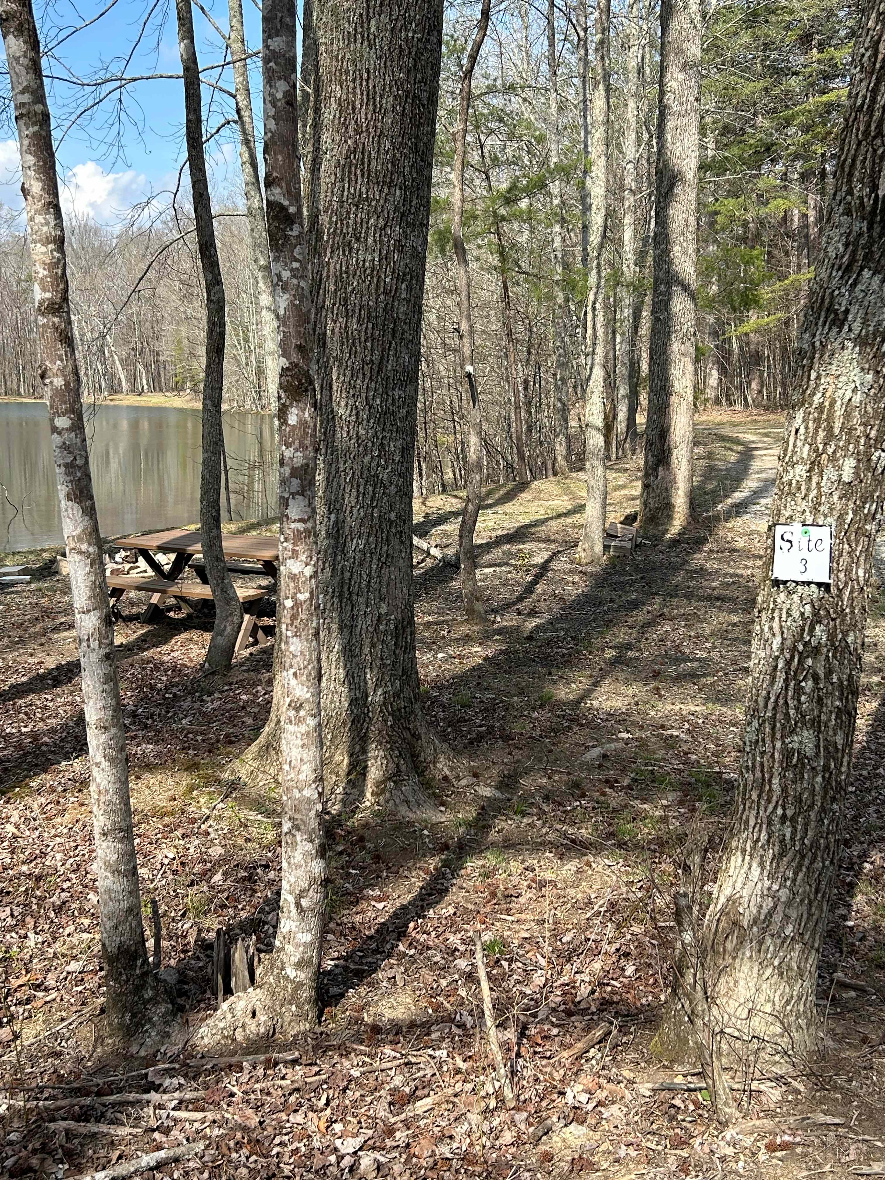 Picture of the site