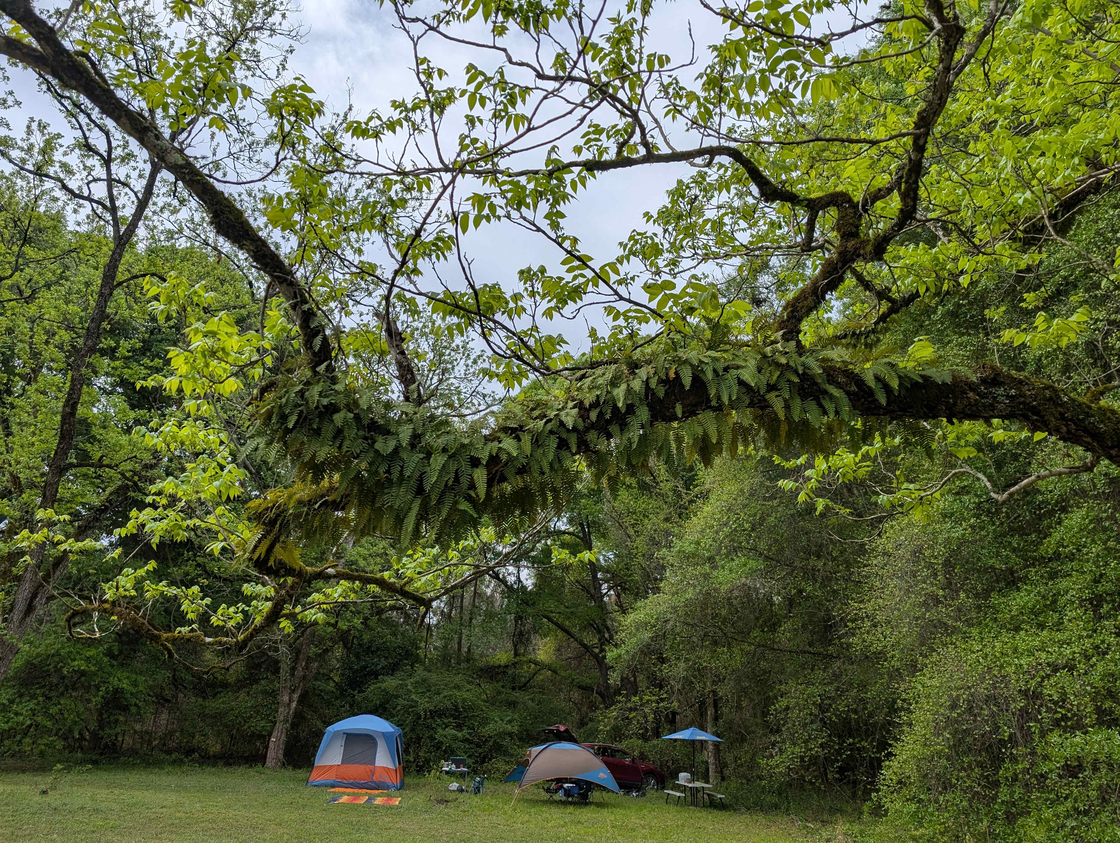 The Pecan Orchard CampGrounds