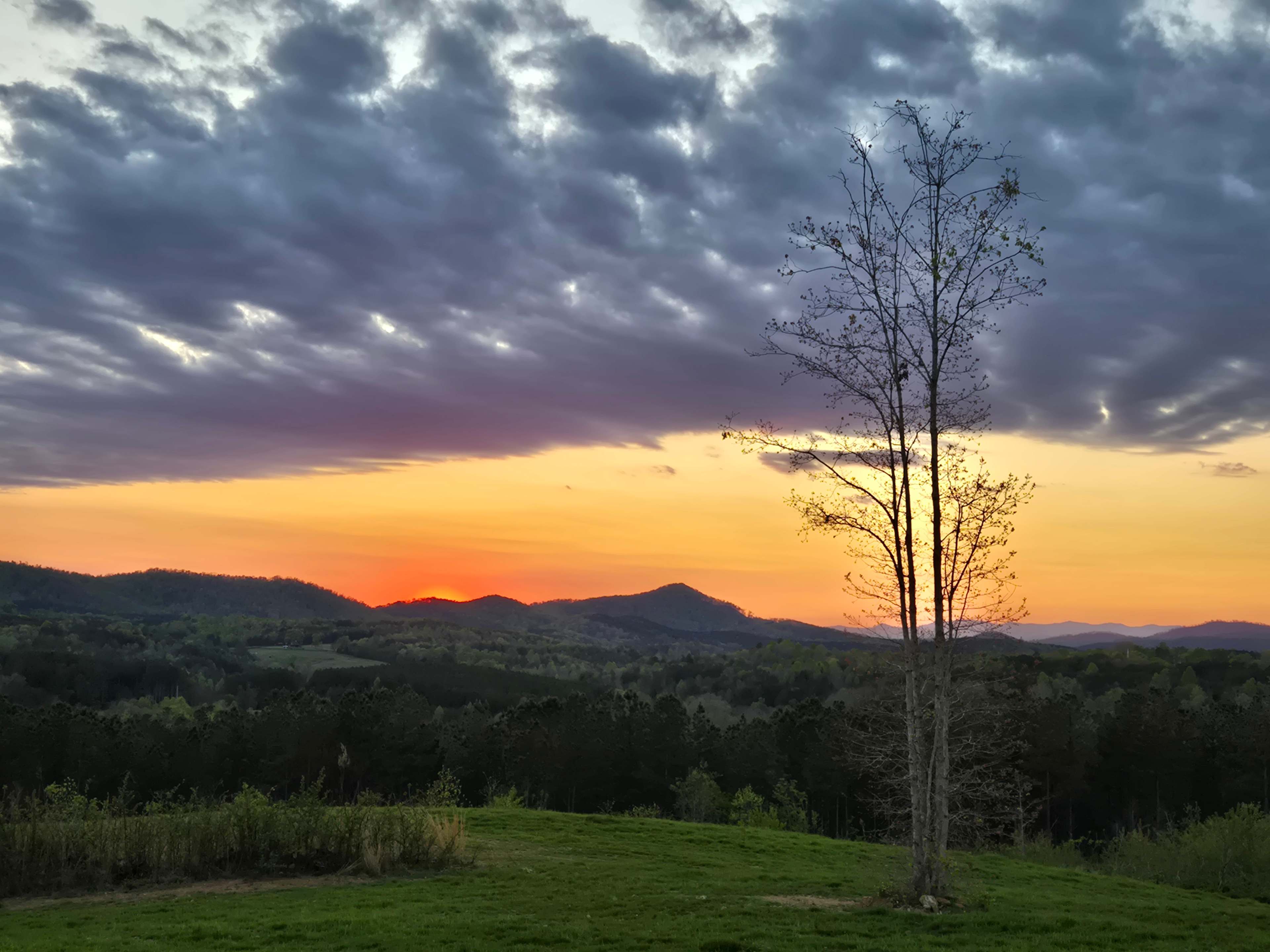 Tellurian Family Campground