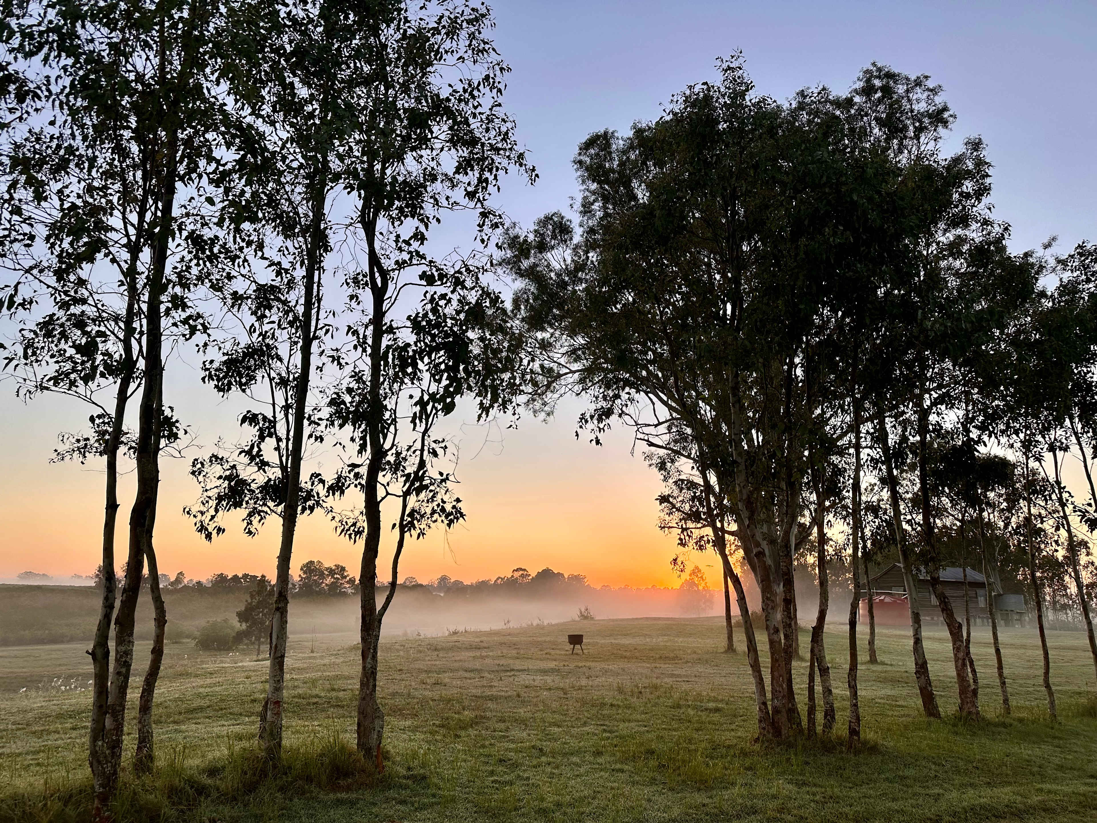 Sunrise