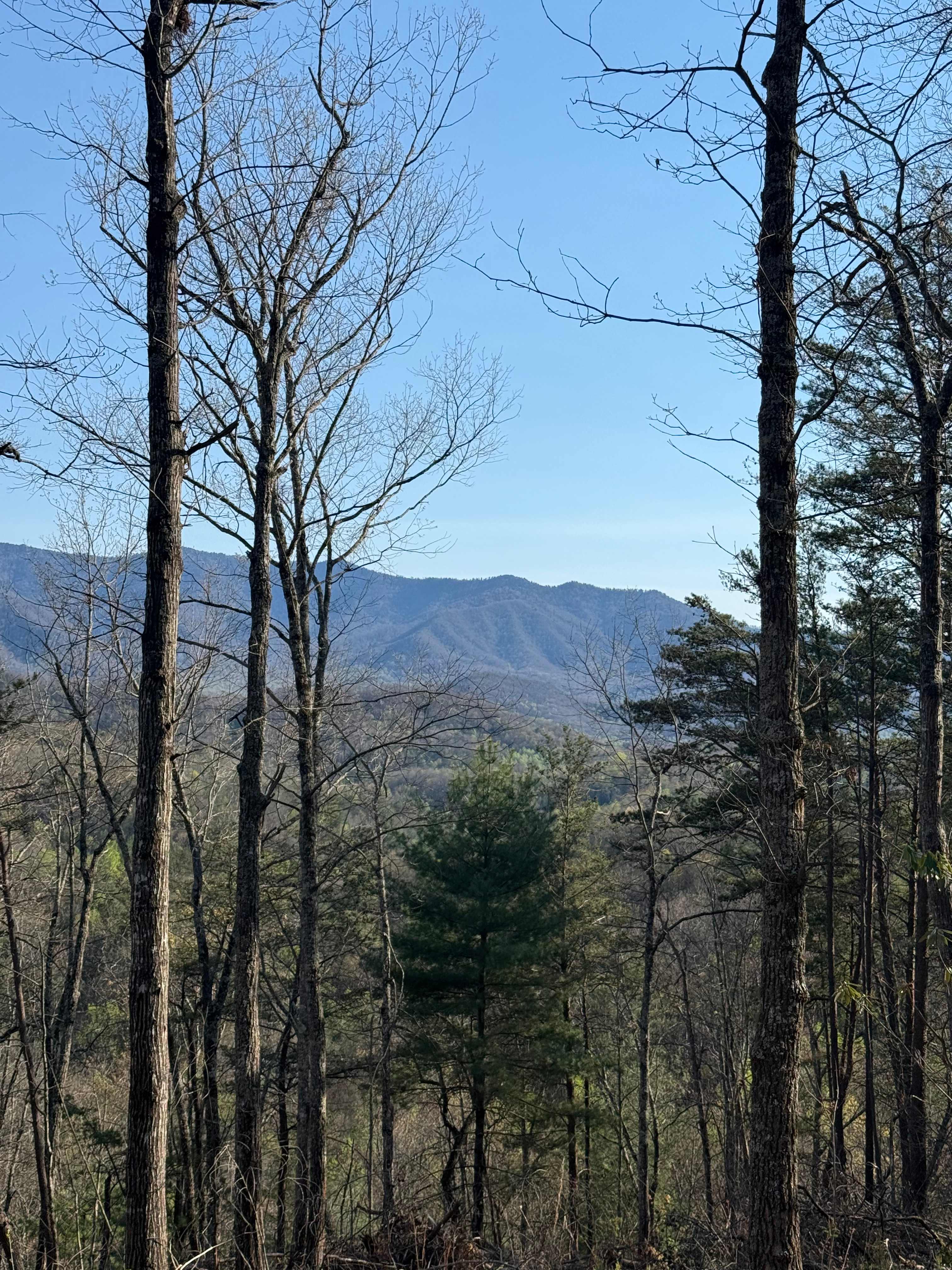 View from one of the trails.