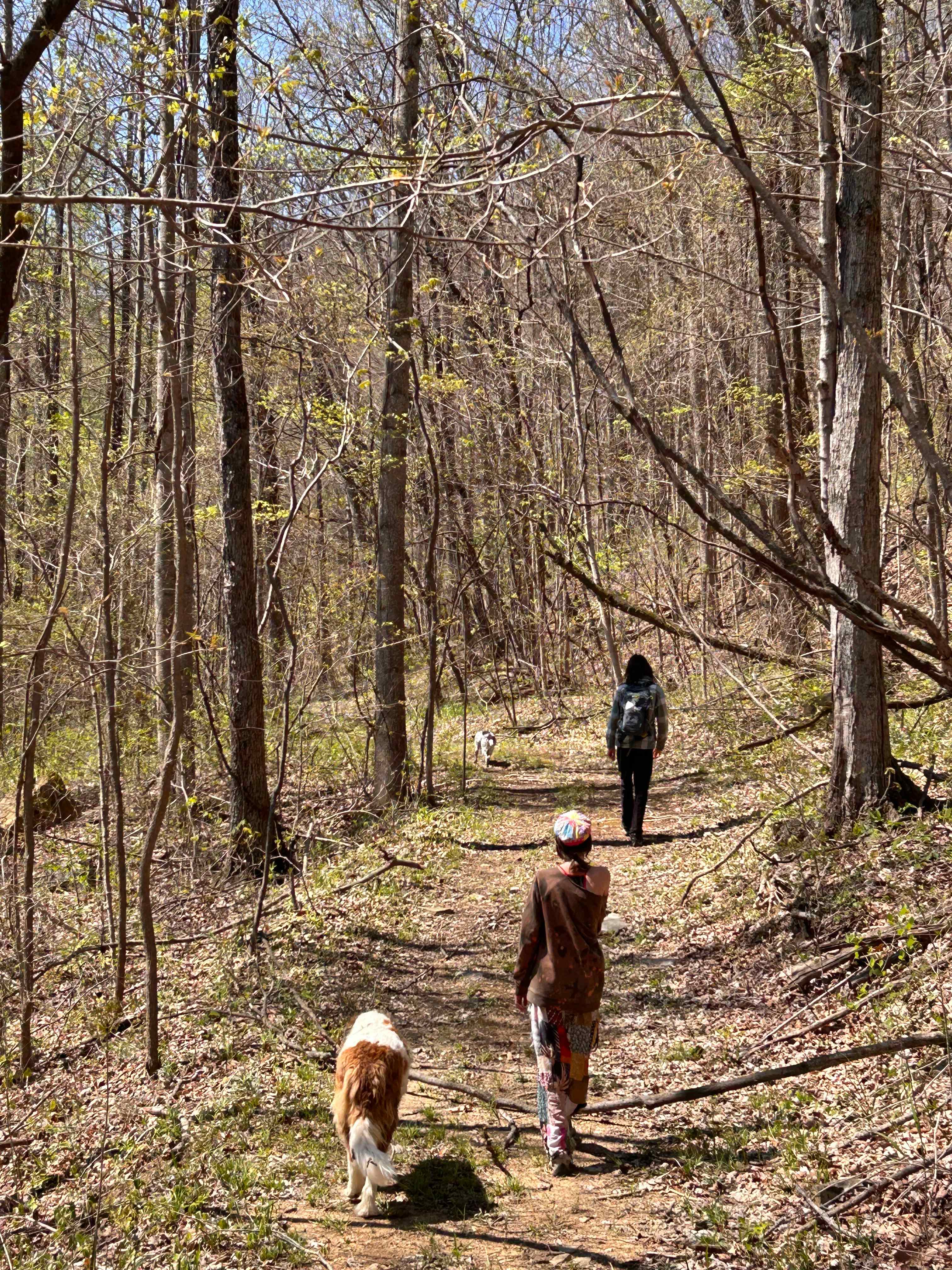 Our trail guide and protector  