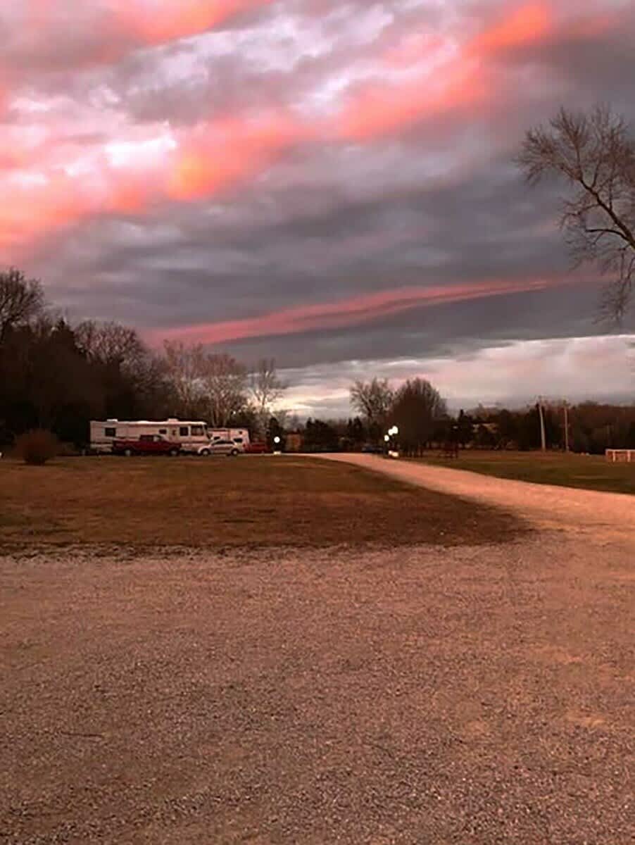Picture of the site