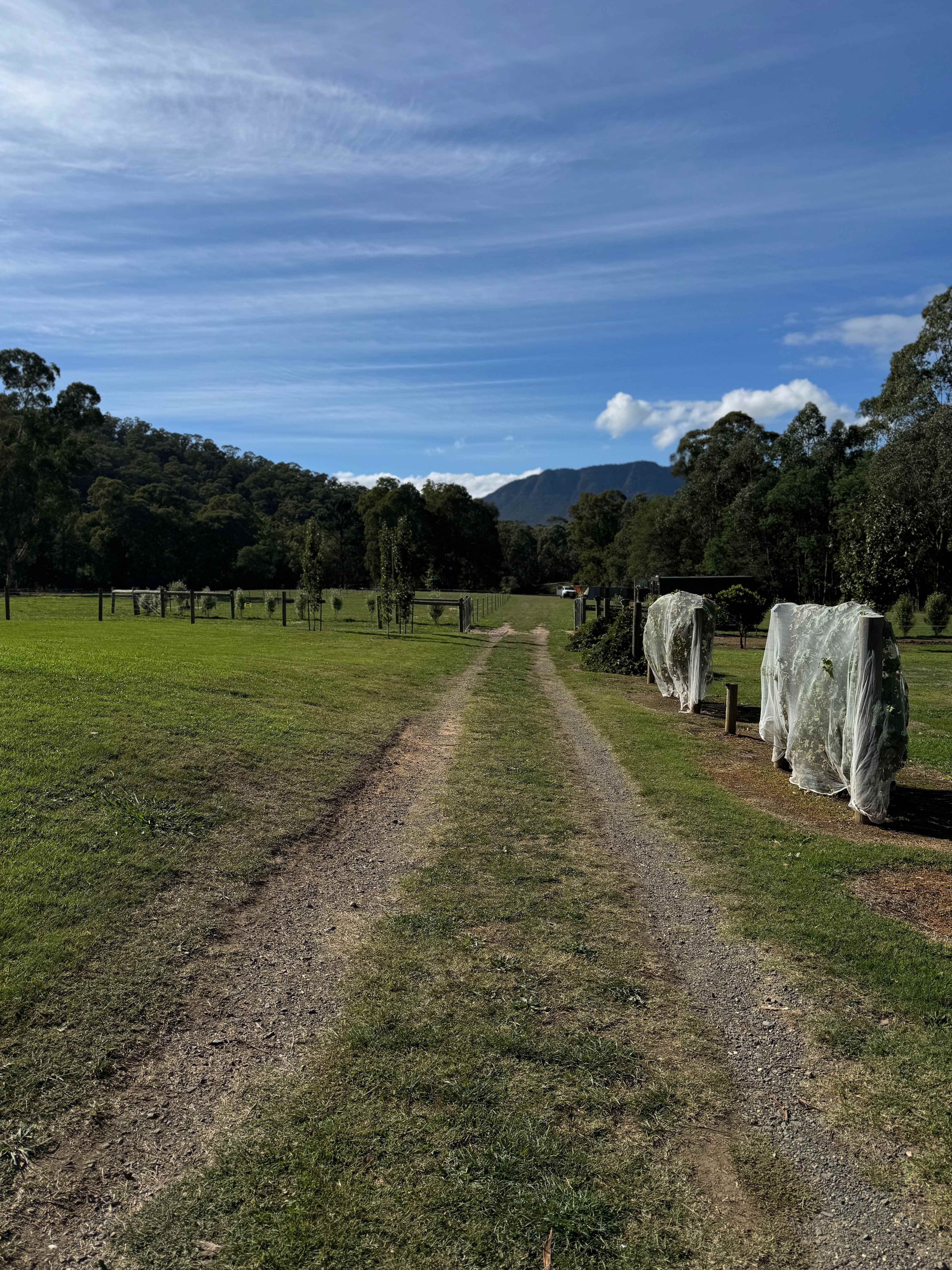 Galea Ranch