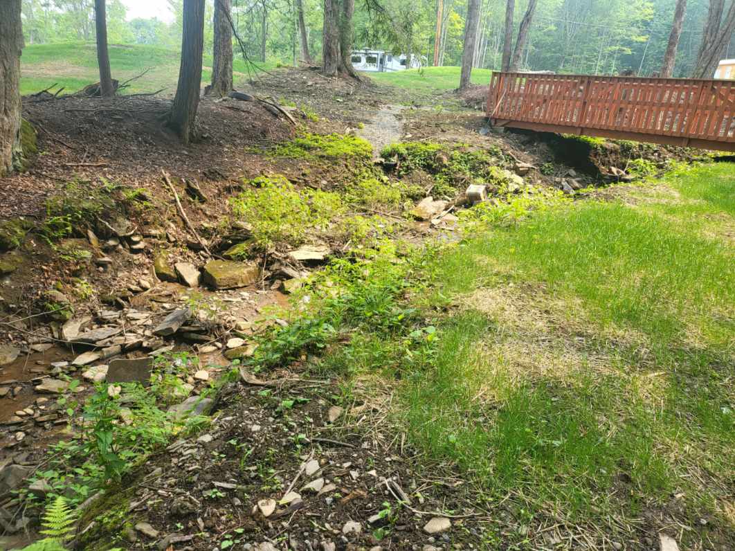 Picture of the site